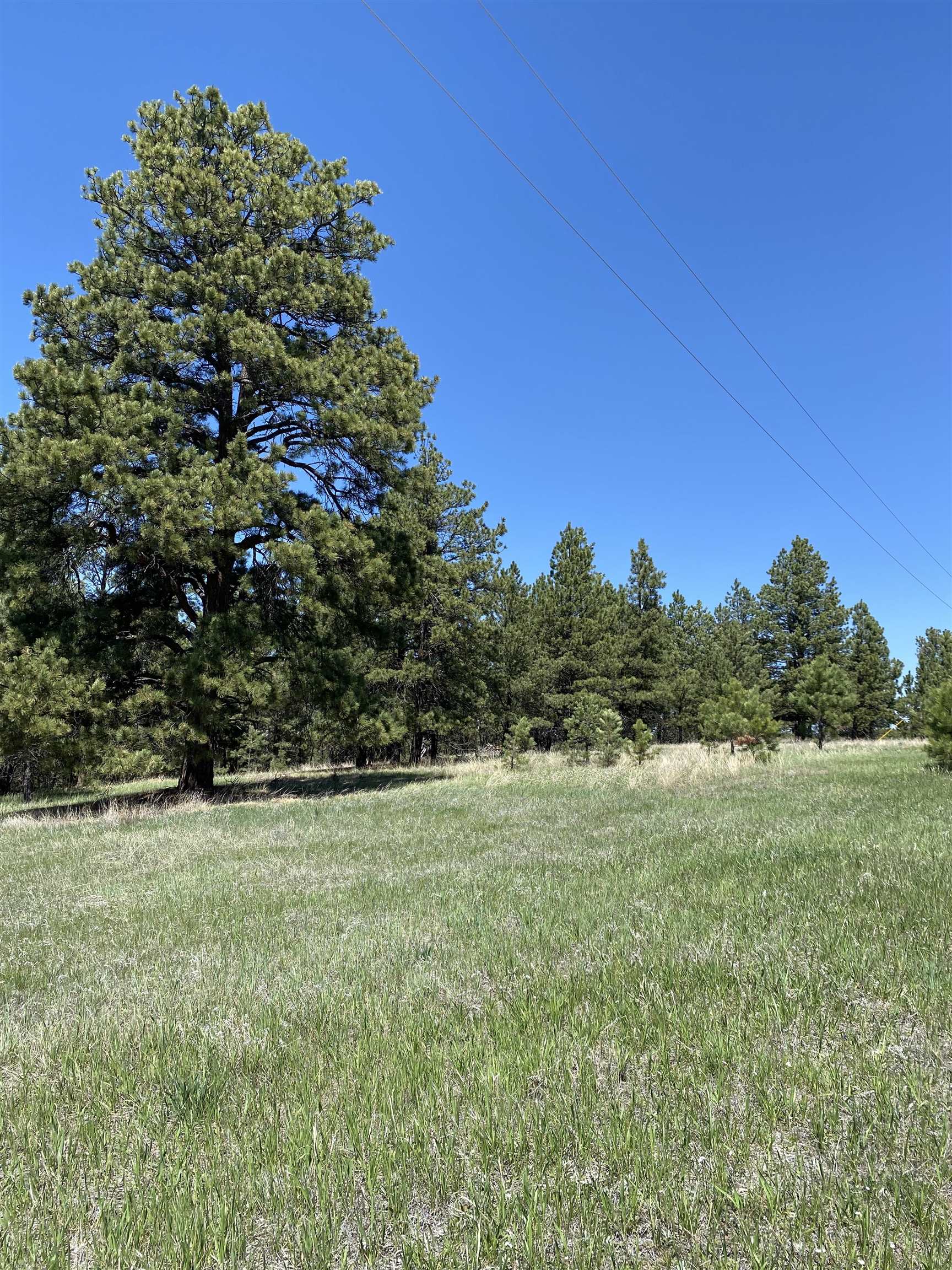 55 Two Pipe Trail Property Photo 12