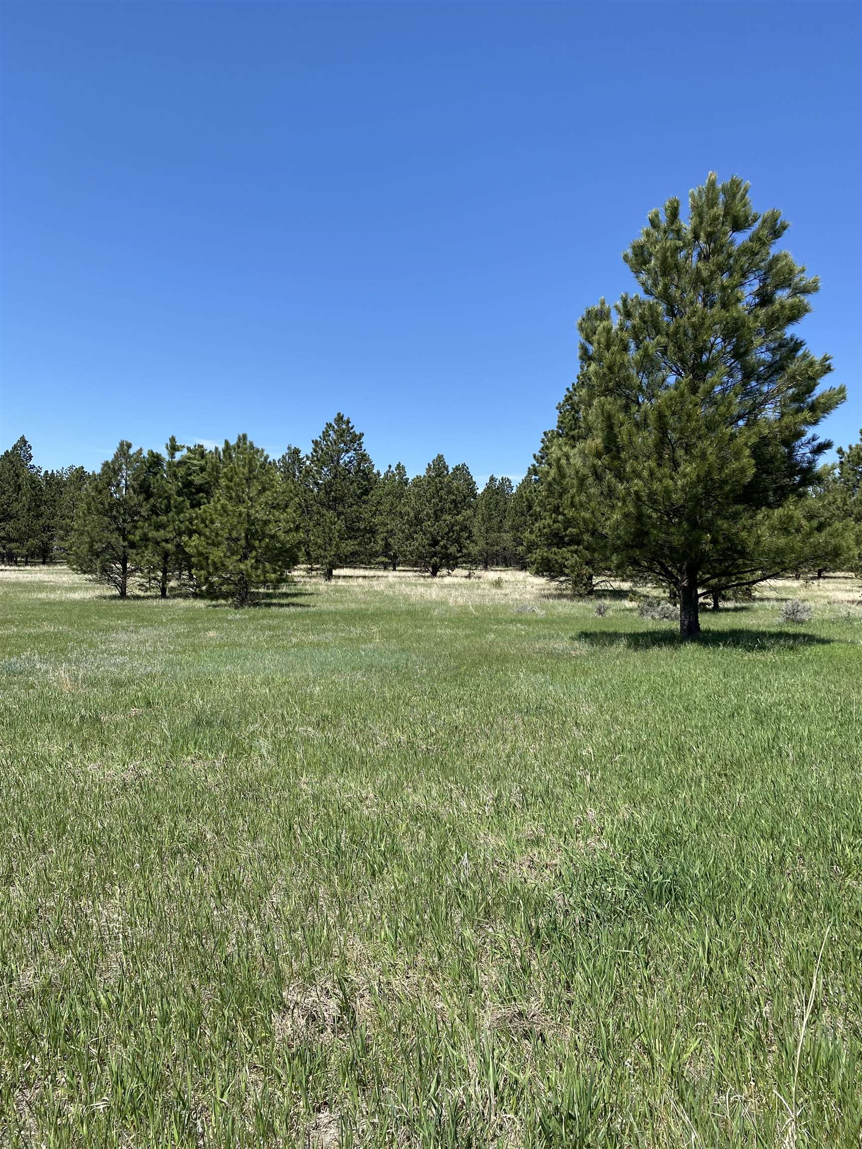 55 Two Pipe Trail Property Photo 13