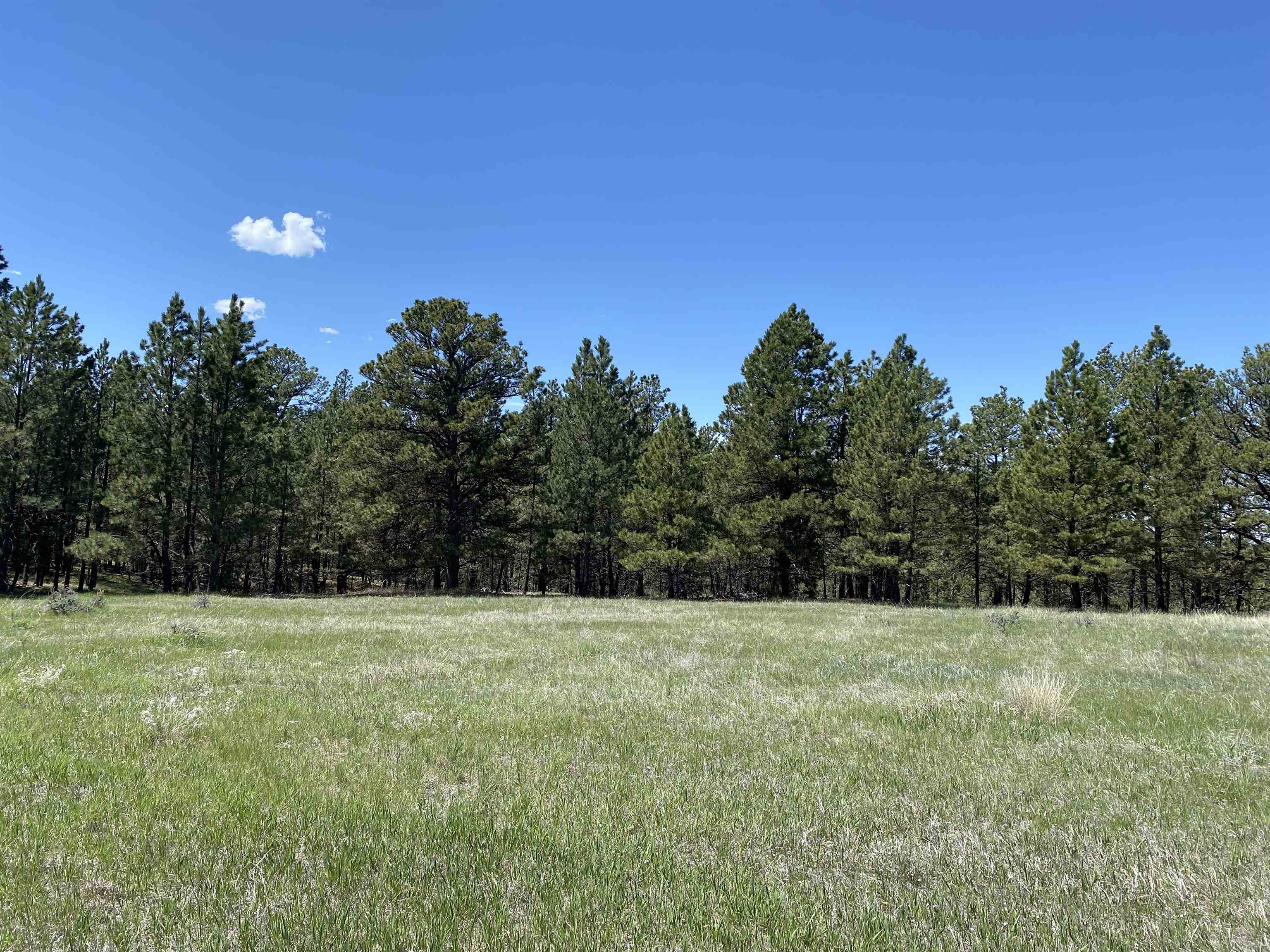 55 Two Pipe Trail Property Photo 14
