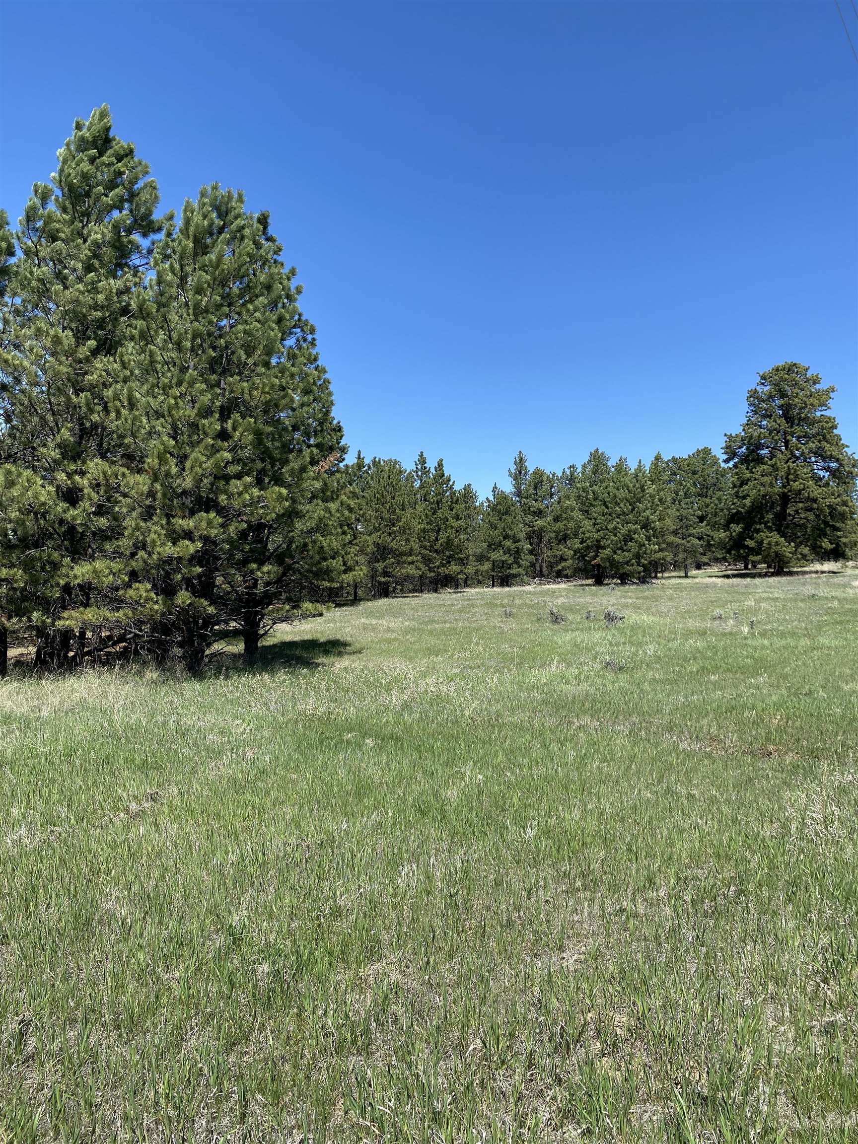 55 Two Pipe Trail Property Photo 15