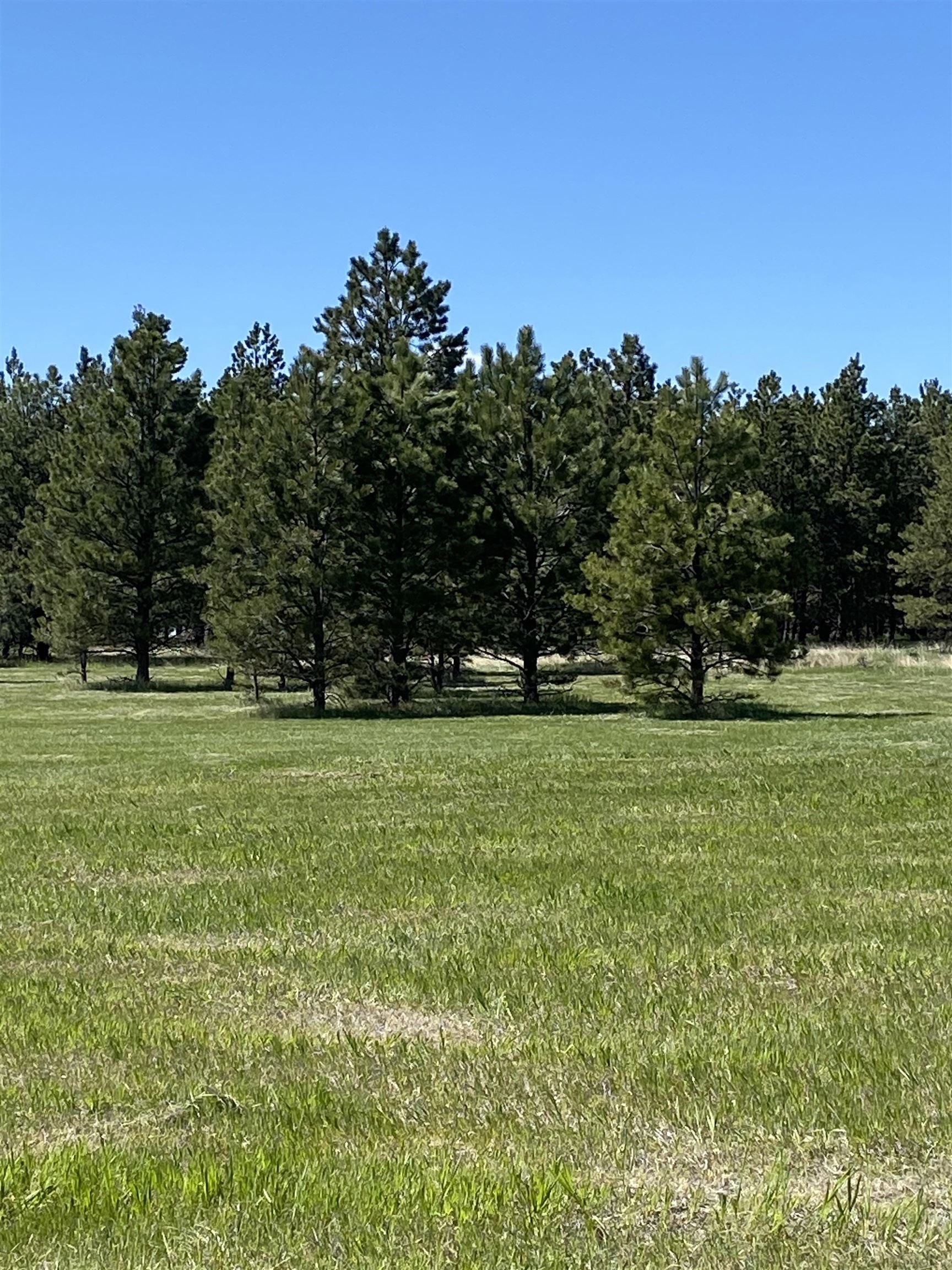 55 Two Pipe Trail Property Photo 16
