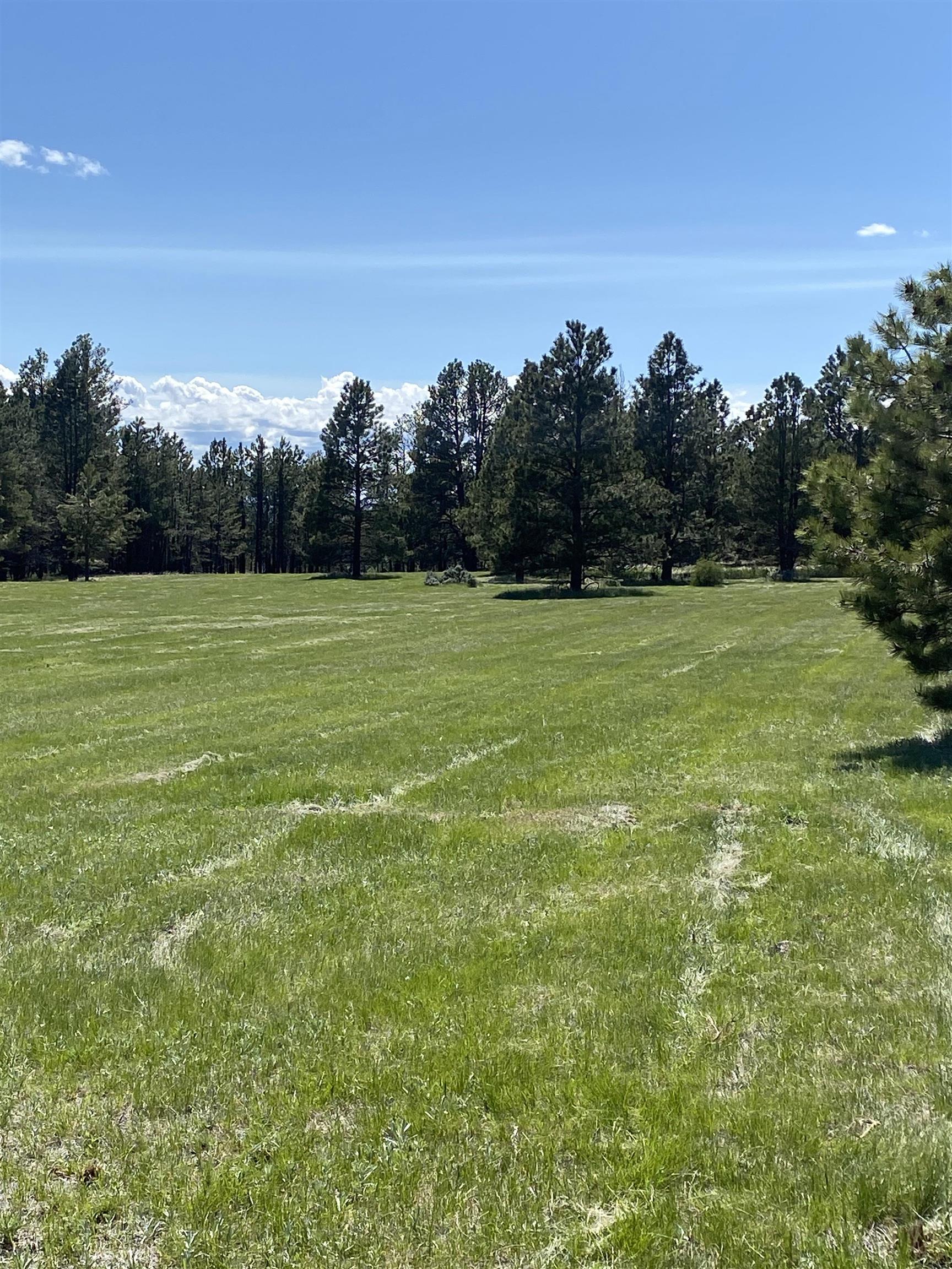 55 Two Pipe Trail Property Photo 17