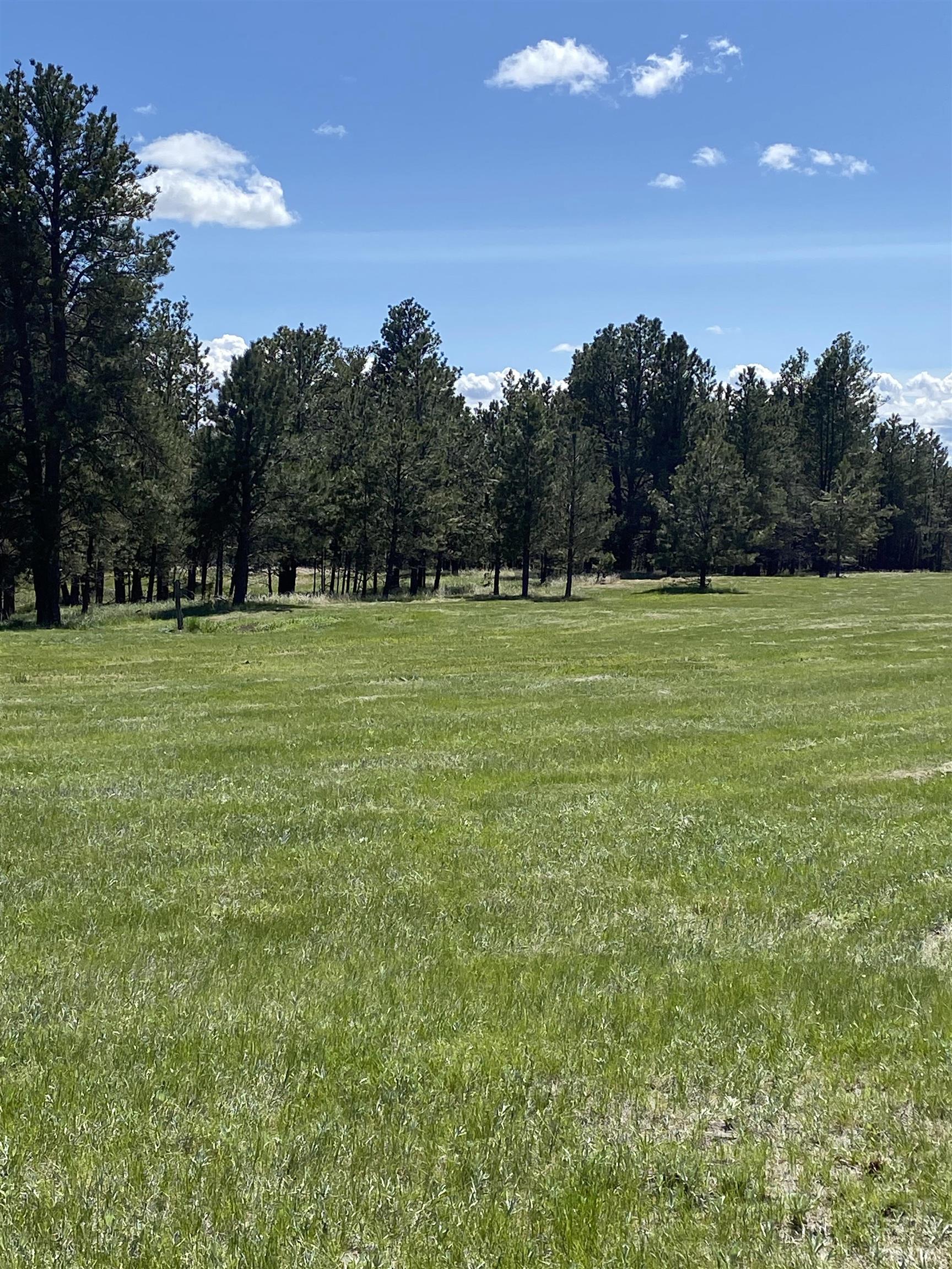 55 Two Pipe Trail Property Photo 18
