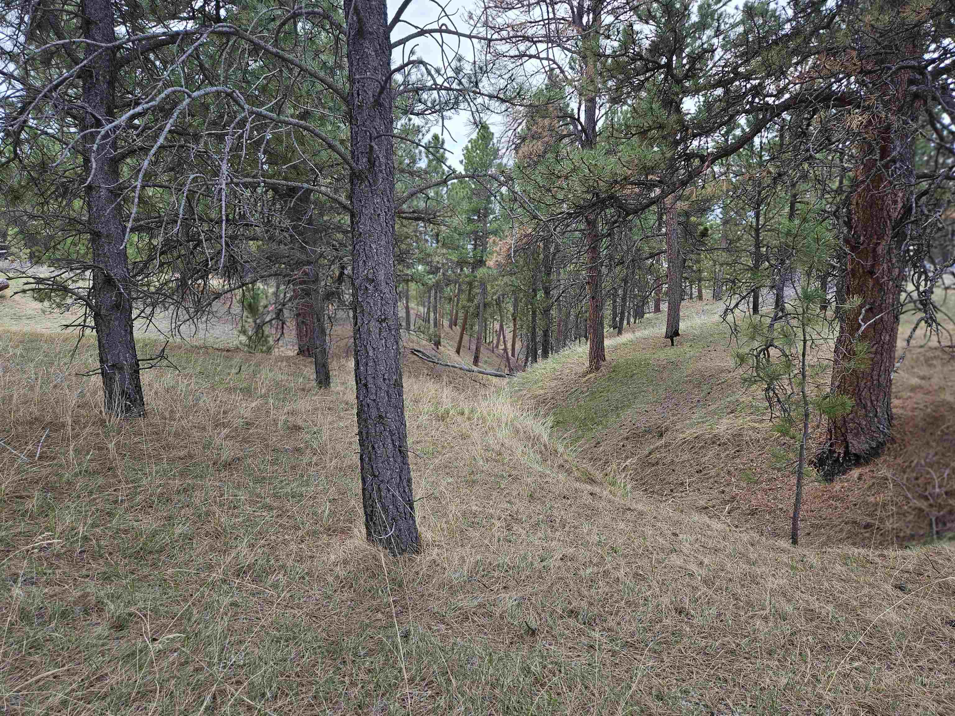 55 Two Pipe Trail Property Photo 19