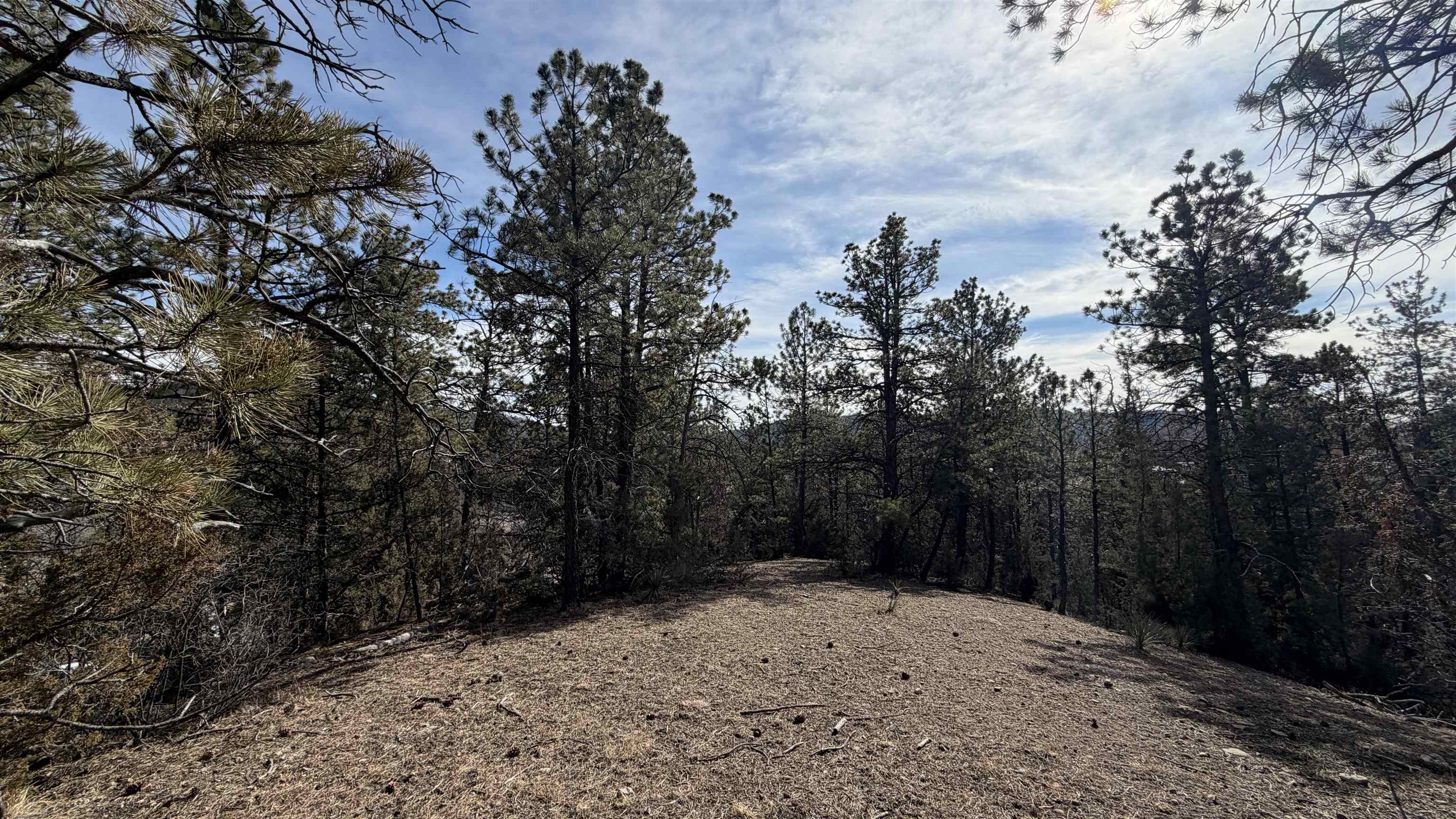 Lot 4r Doran Road Property Photo 15