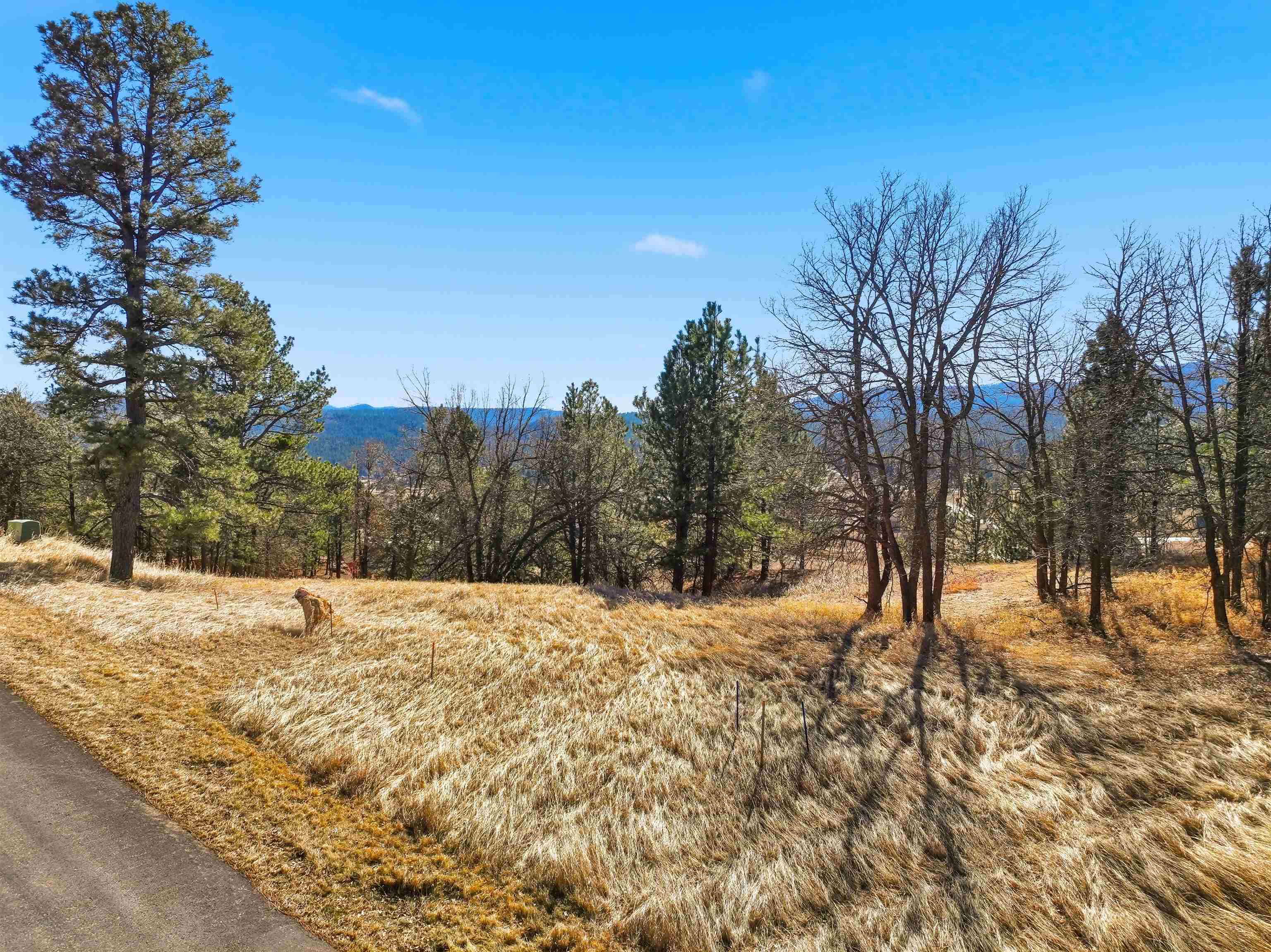Lot 6A Wildberger Road Property Photo 1
