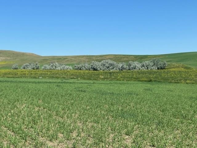 16547 Highway 79 Property Photo 4