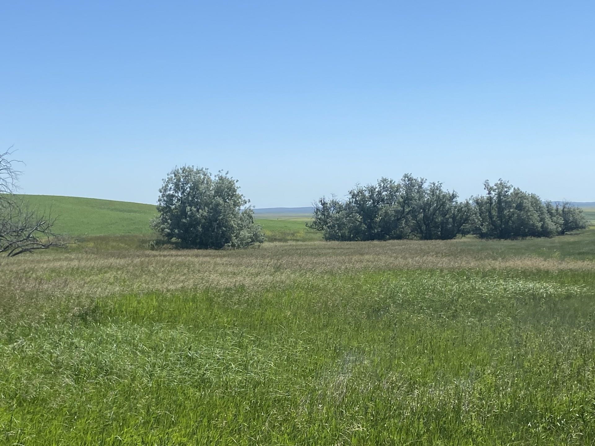 16547 Highway 79 Property Photo 10
