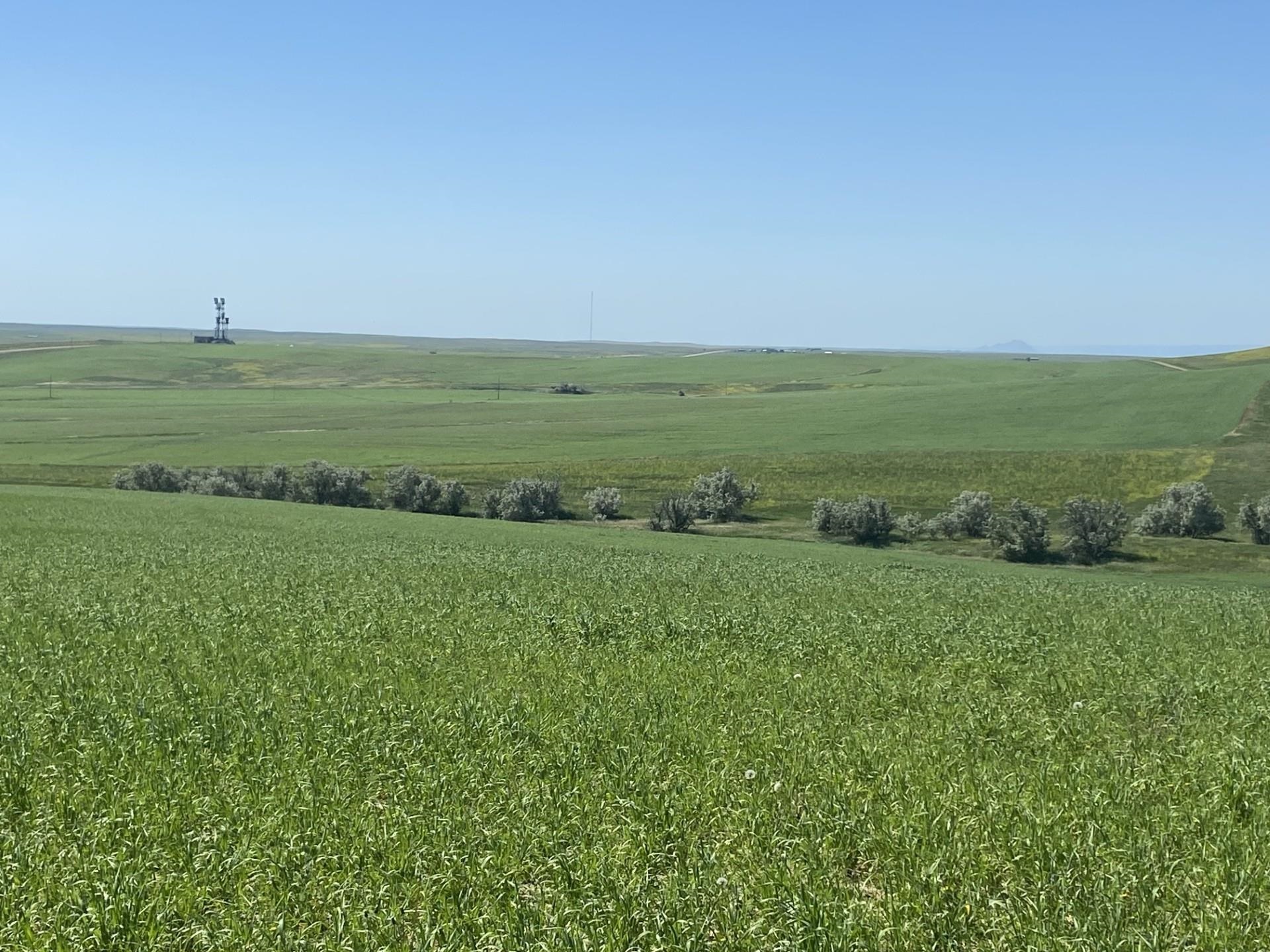 16547 Highway 79 Property Photo 13