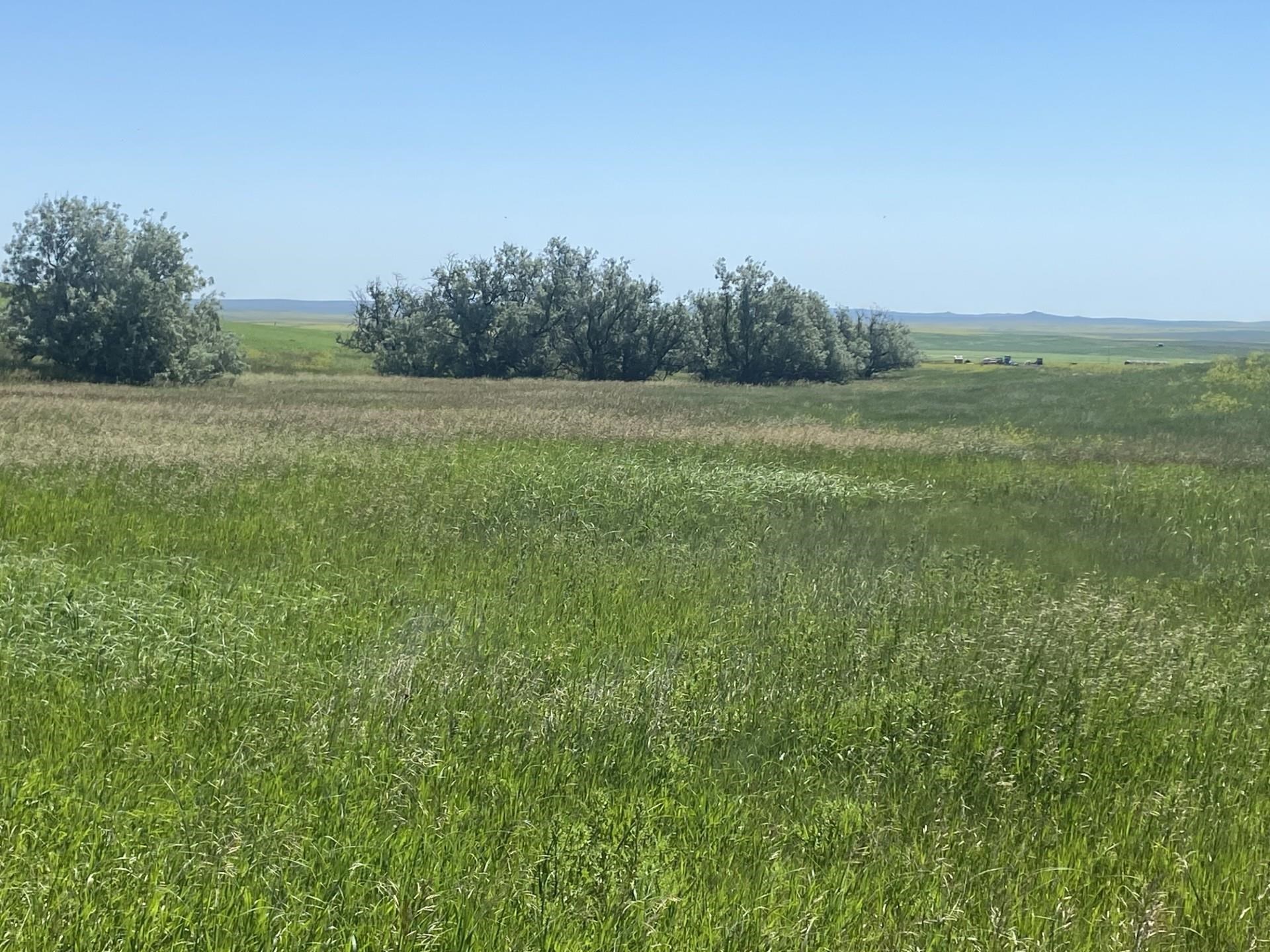 16547 Highway 79 Property Photo 14