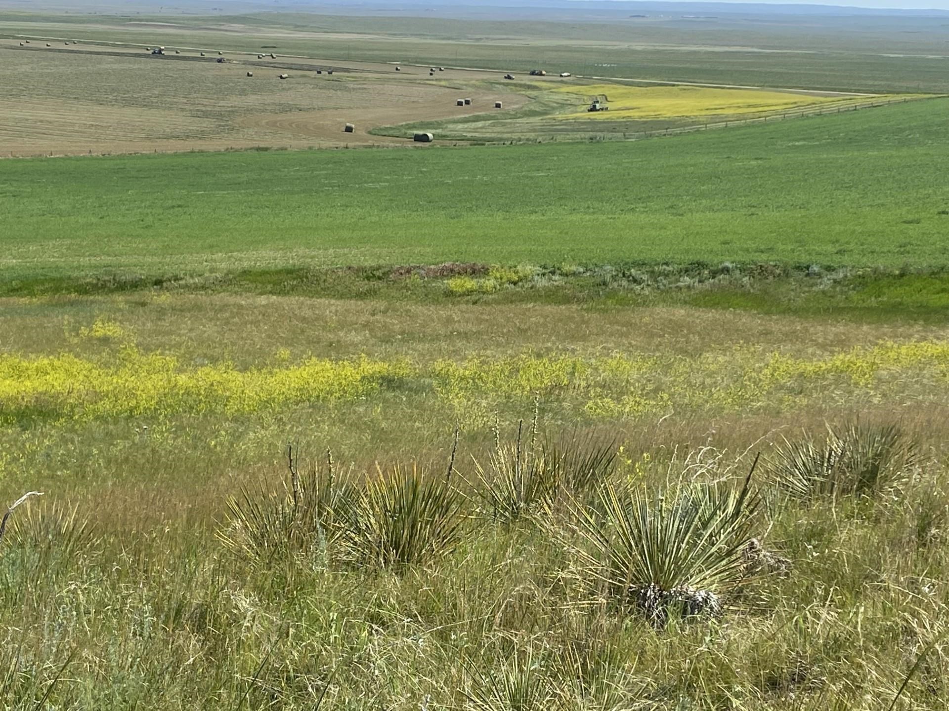 16547 Highway 79 Property Photo 15