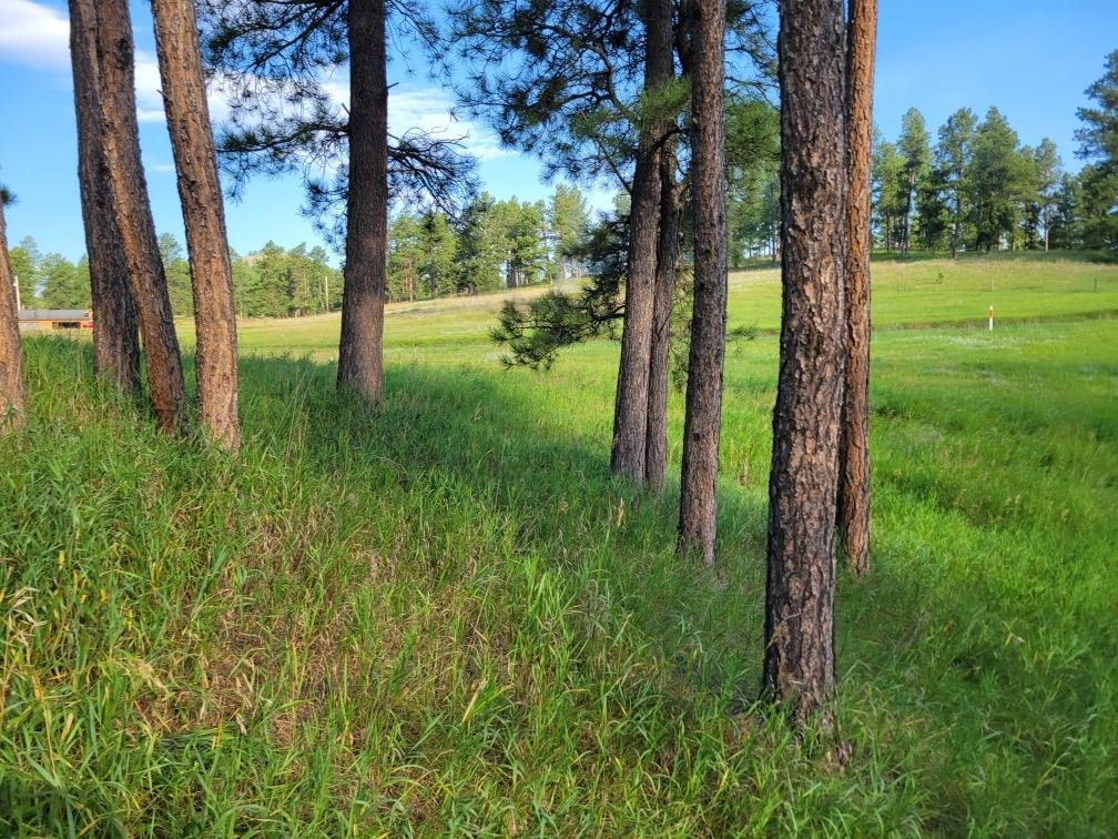 Tbd Old Hill City Road Property Photo 4