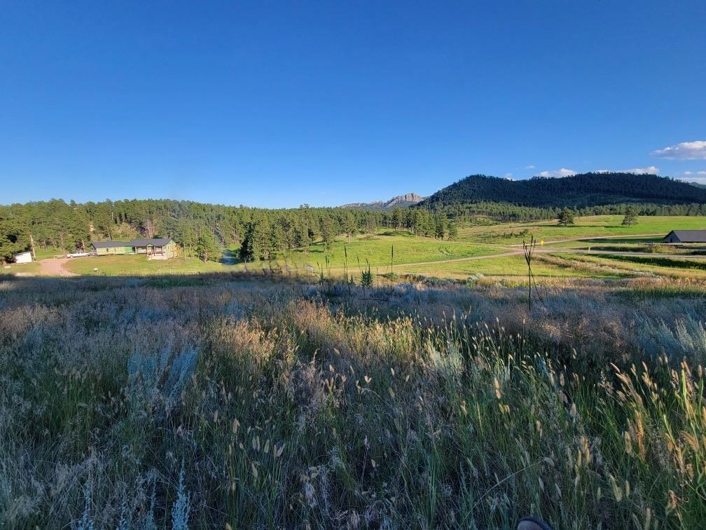 Tbd Old Hill City Road Property Photo 7