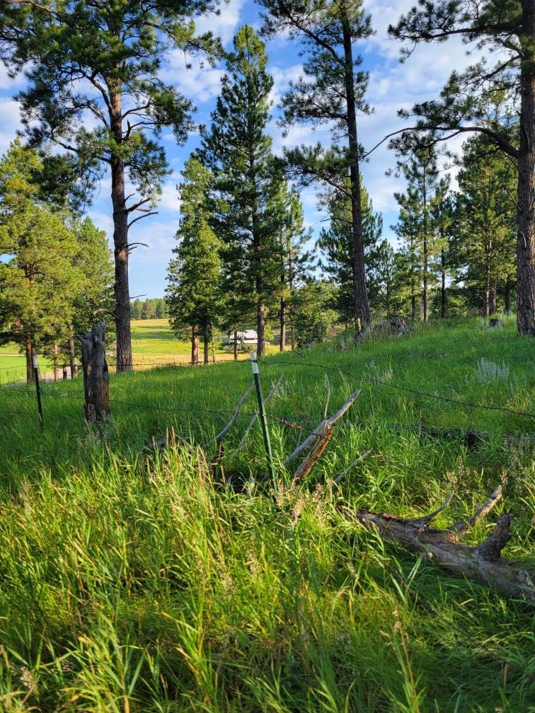 Tbd Old Hill City Road Property Photo 10