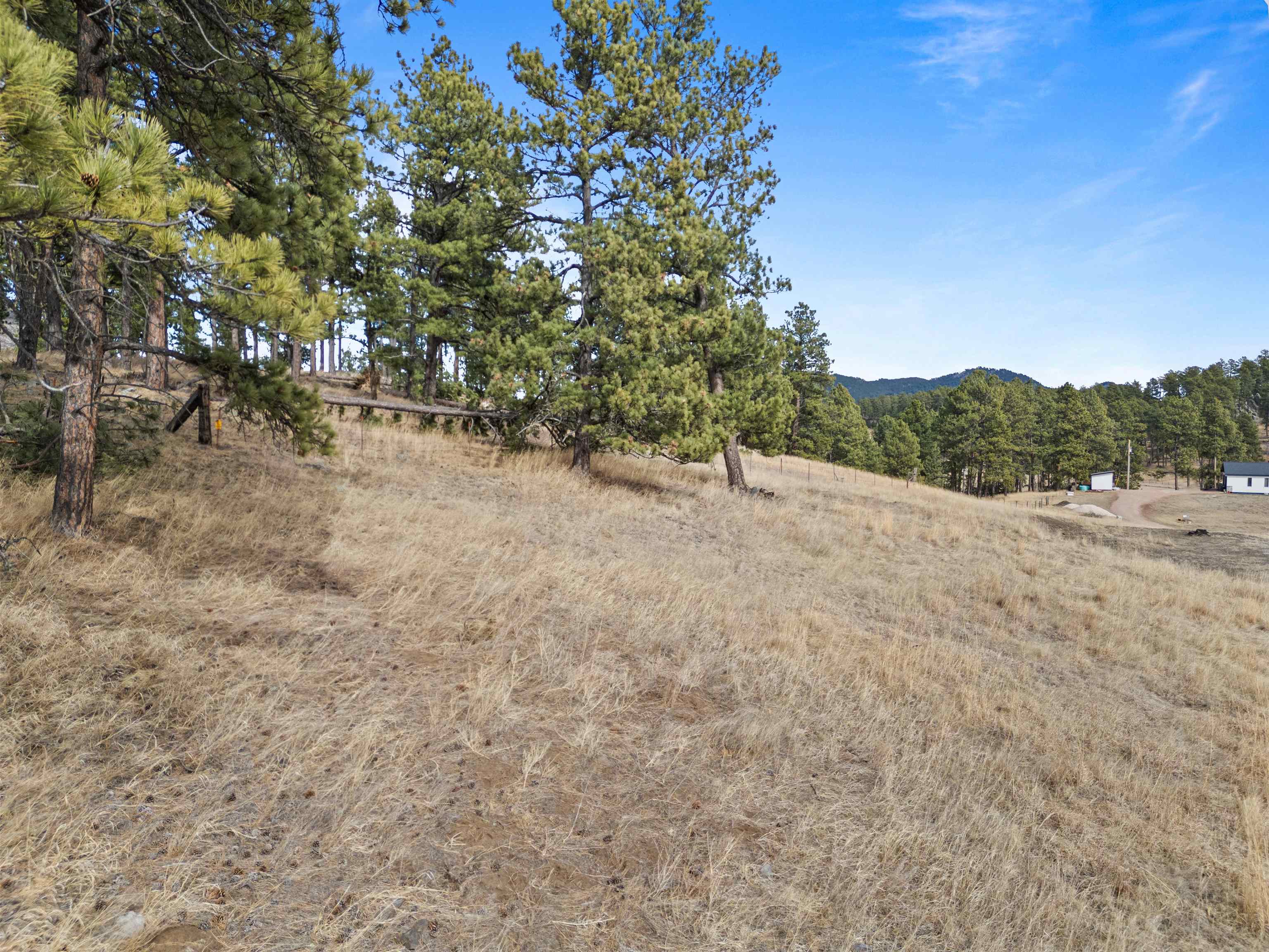 Tbd Old Hill City Road Property Photo 13
