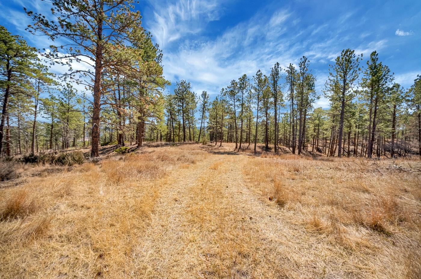 Tbd Lot 8 Country Club Drive Property Photo 1