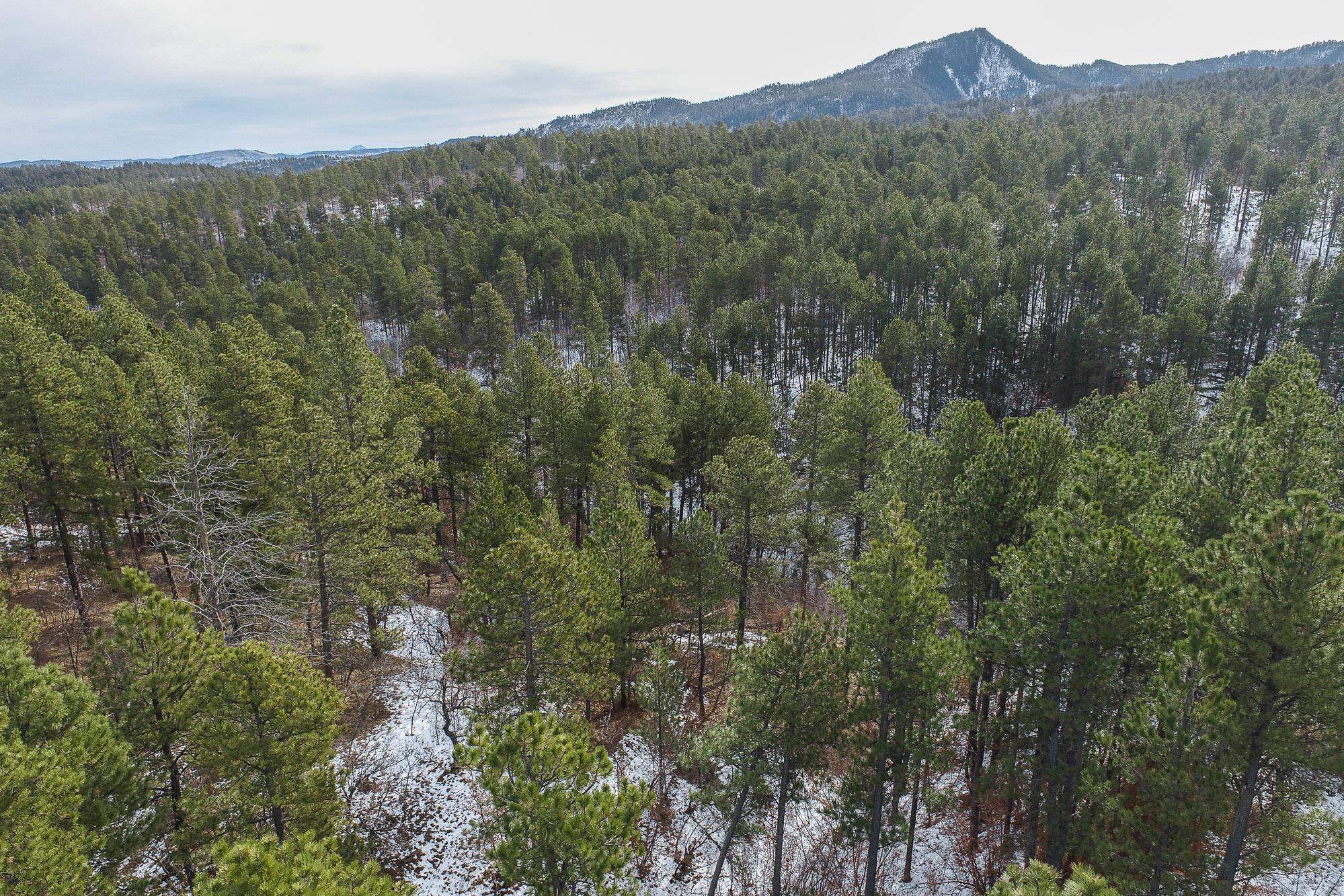 Tbd Aster Road Property Photo 9