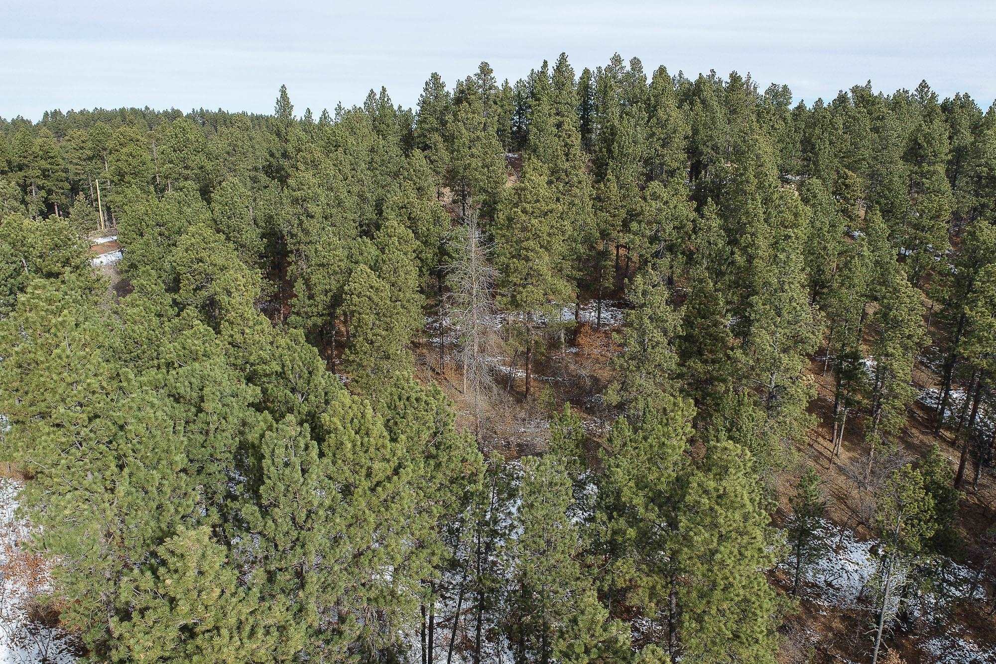 Tbd Aster Road Property Photo 11