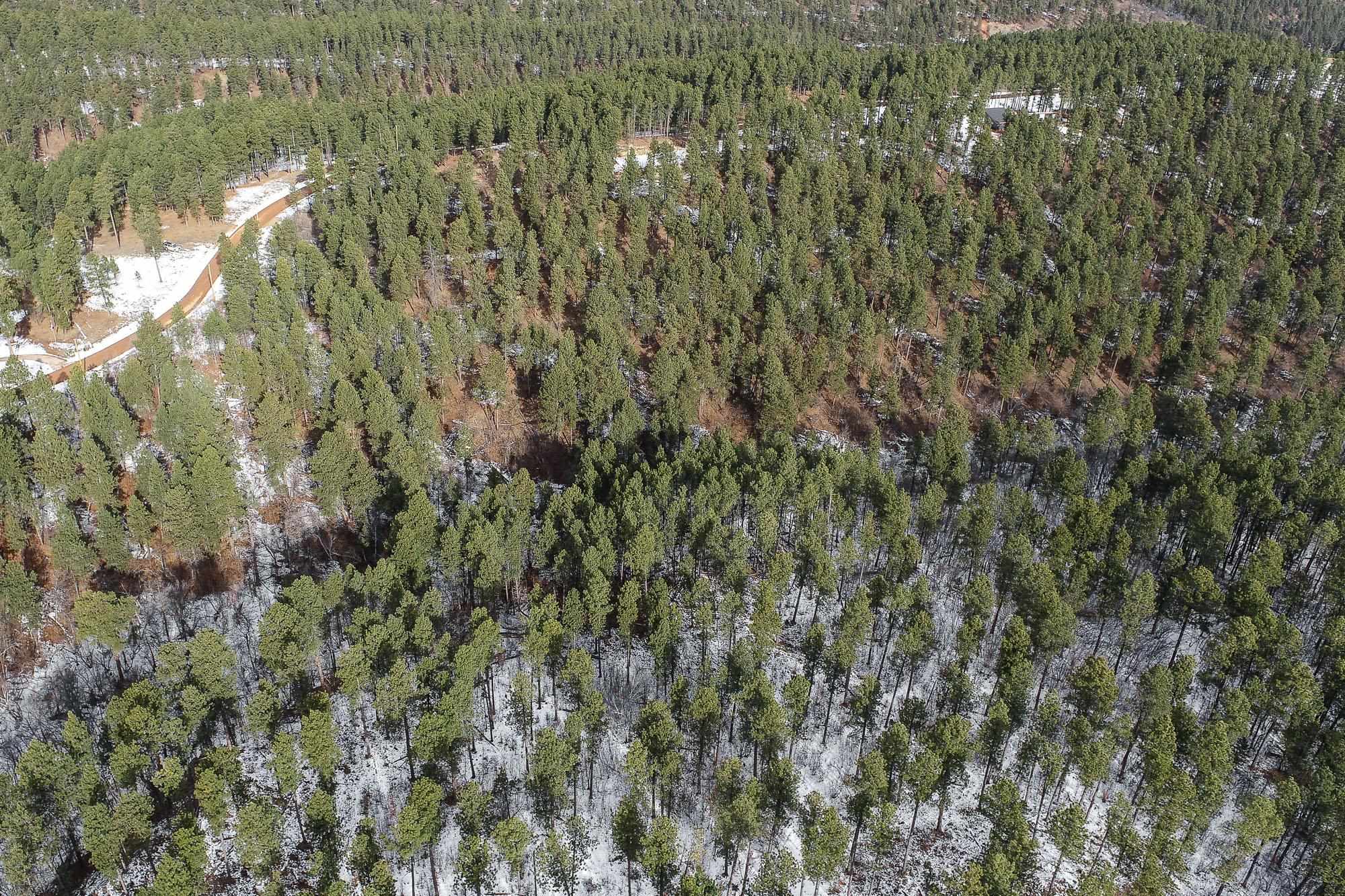 Tbd Aster Road Property Photo 17