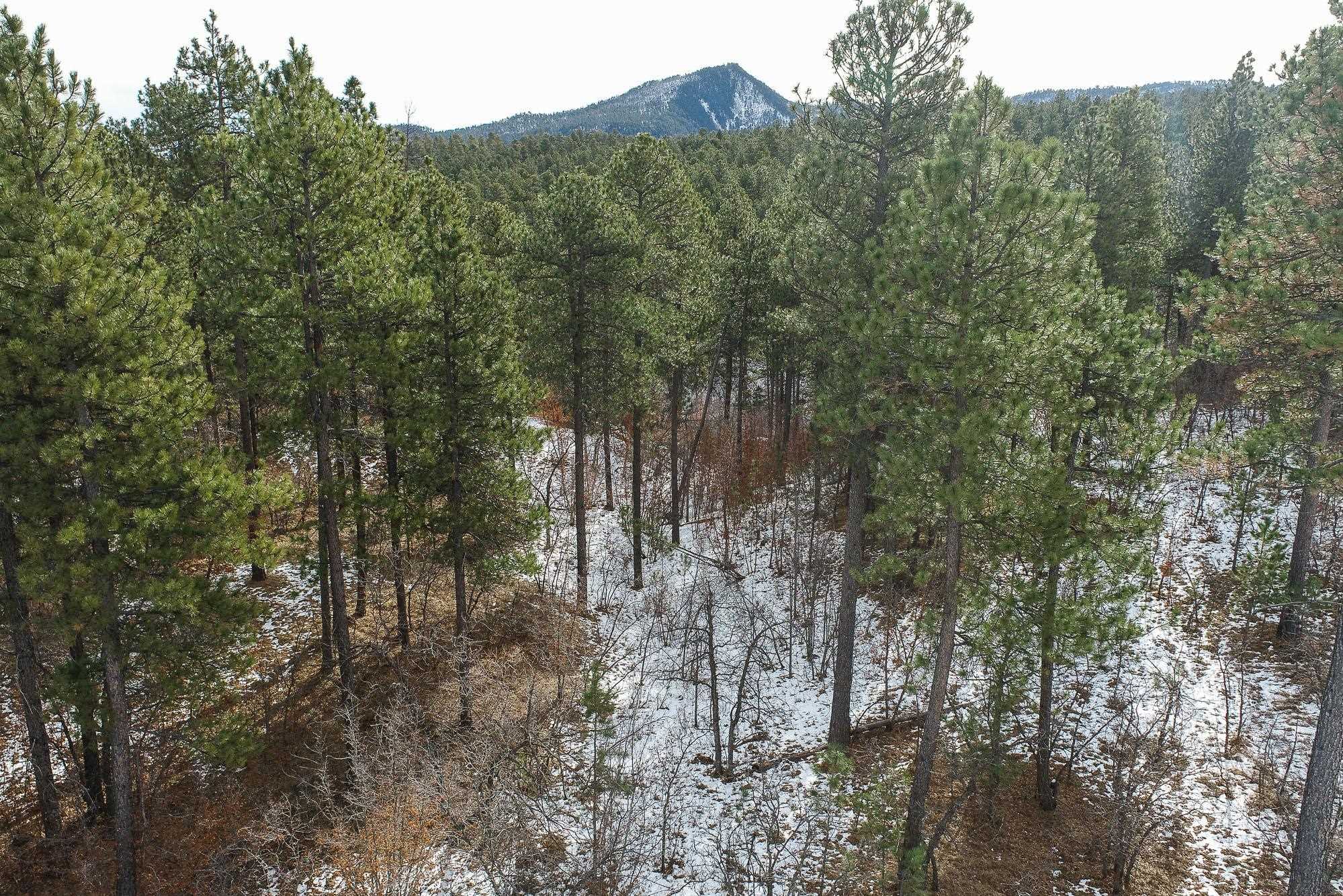Tbd Aster Road Property Photo 23
