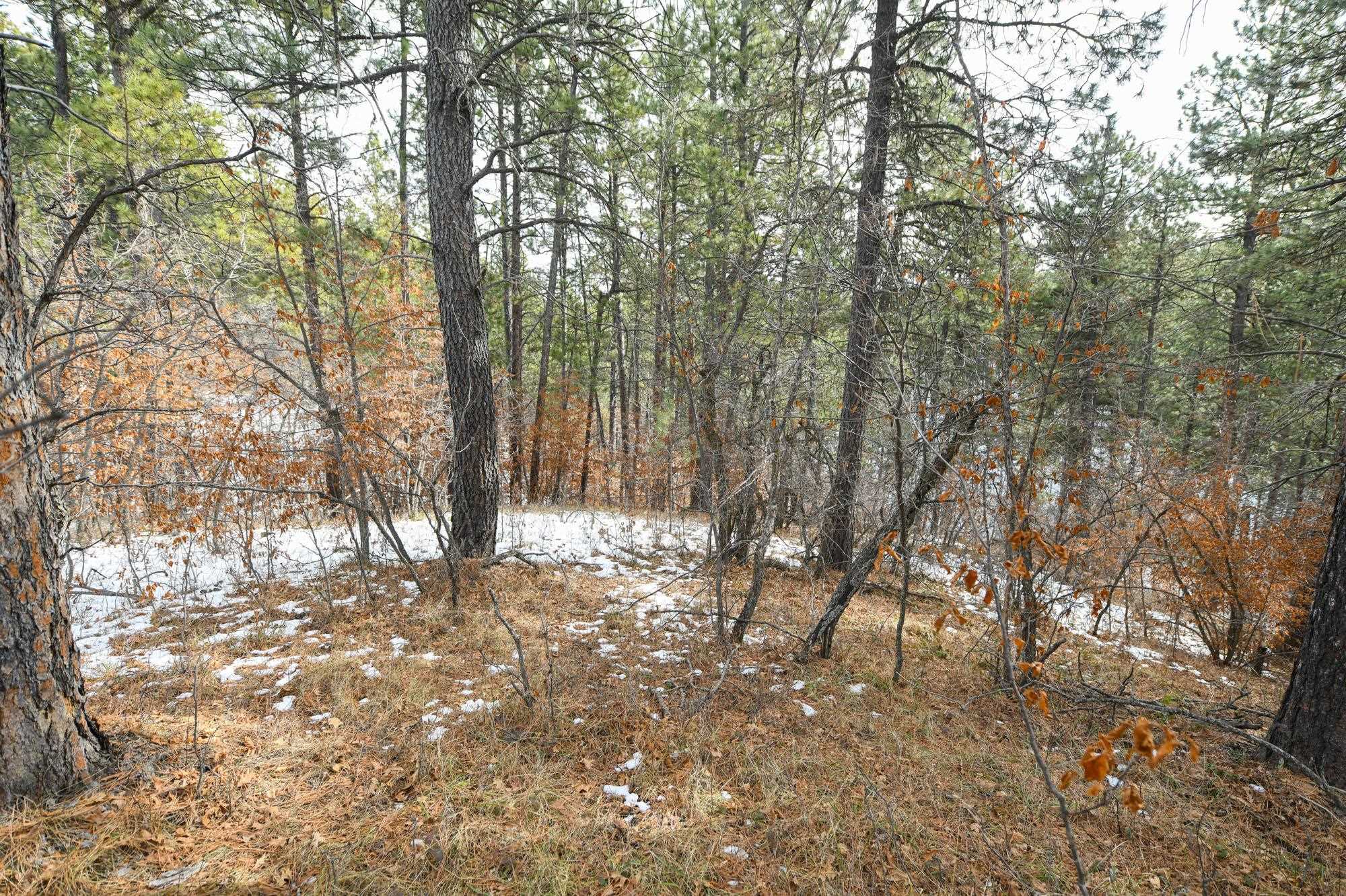 Tbd Aster Road Property Photo 25