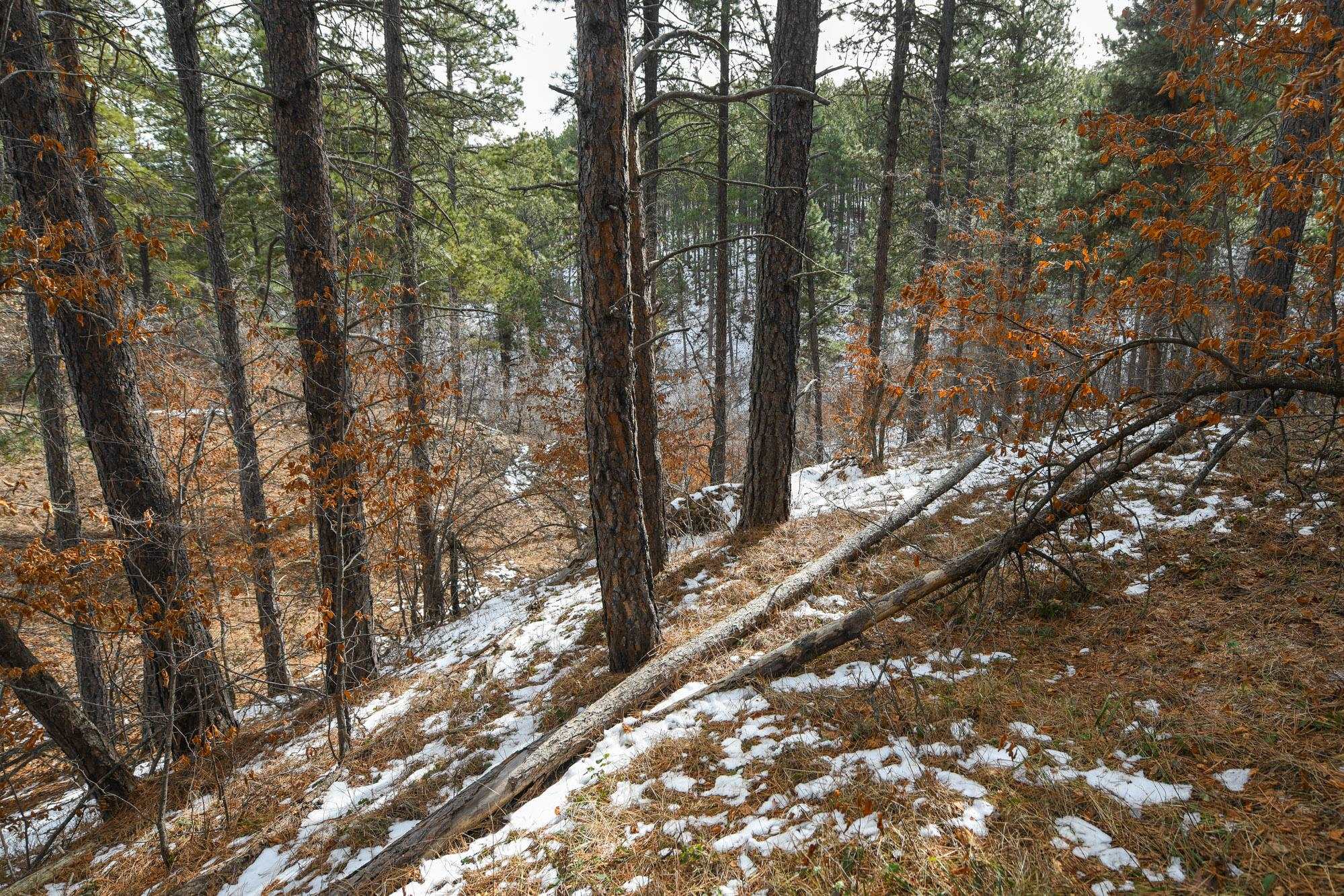 Tbd Aster Road Property Photo 26