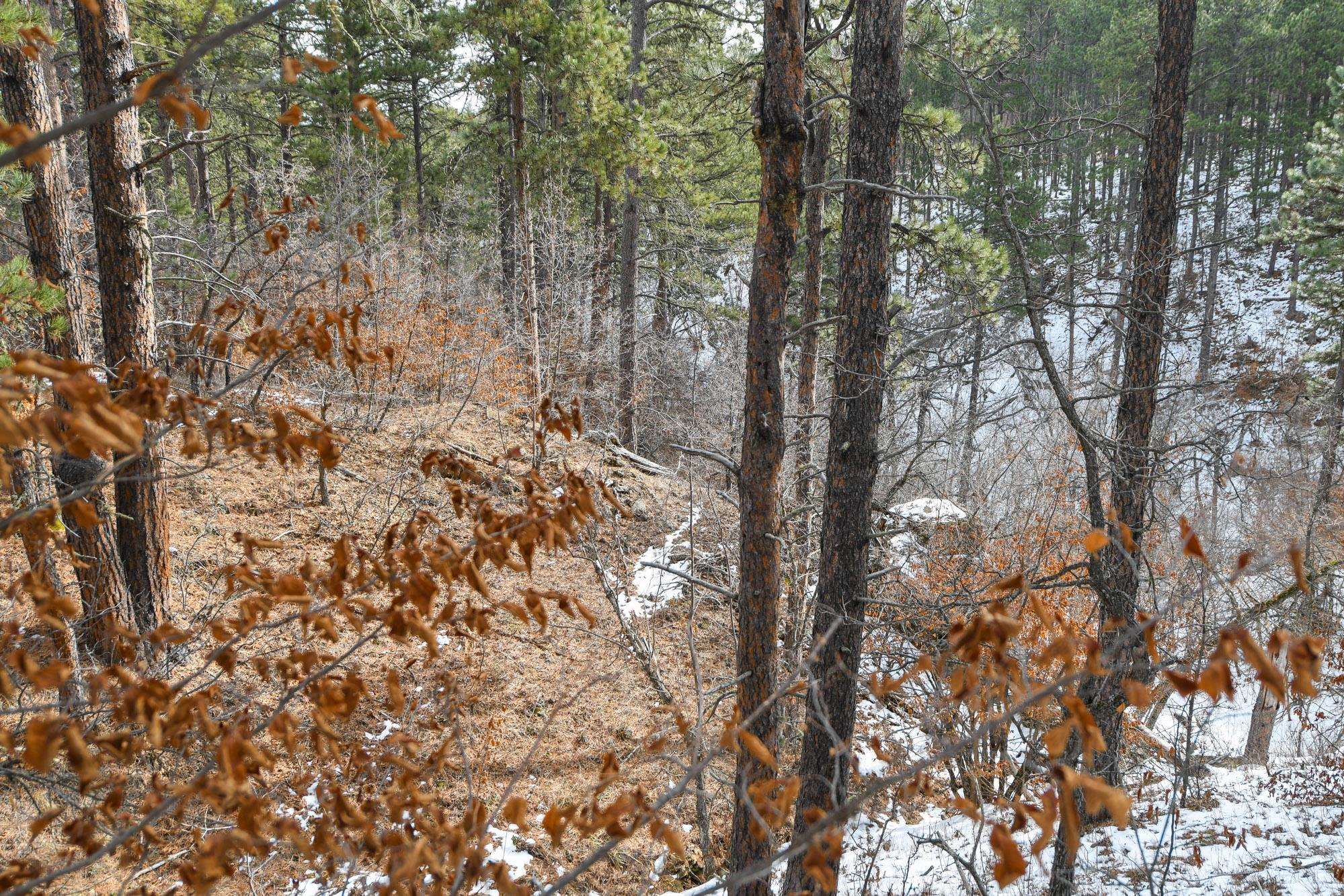 Tbd Aster Road Property Photo 27