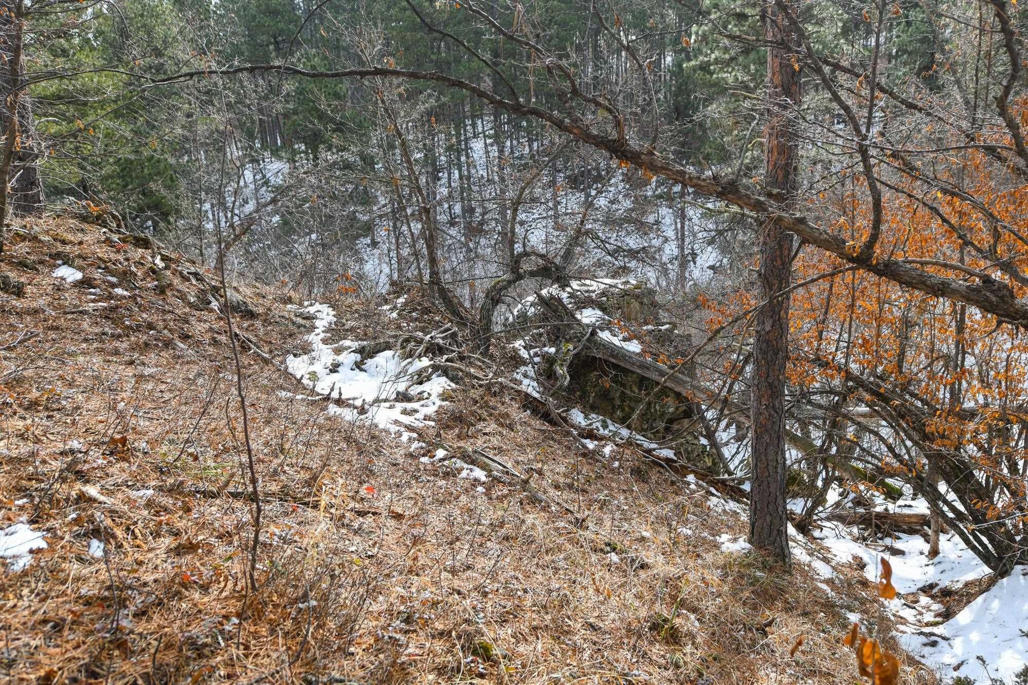 Tbd Aster Road Property Photo 28