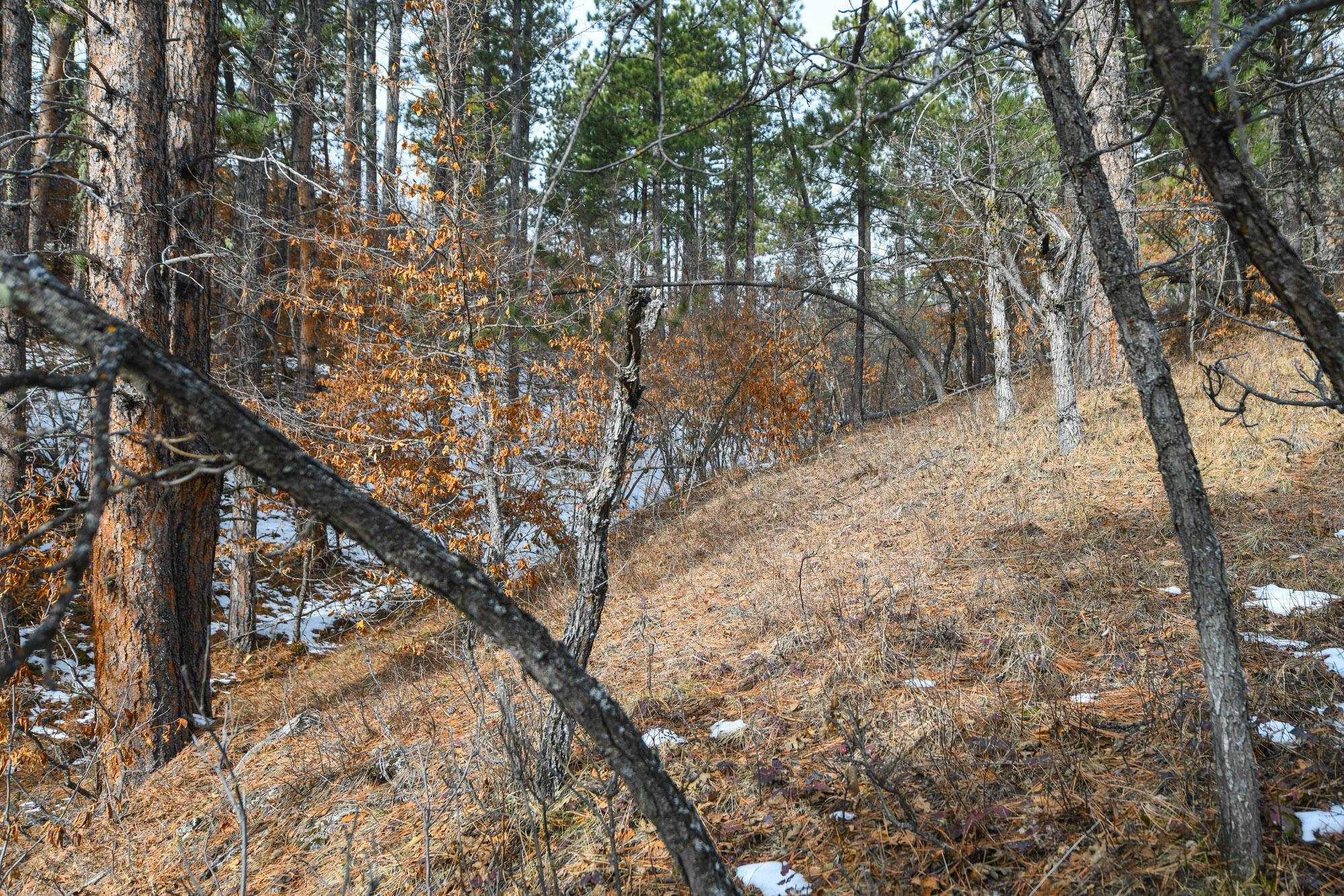 Tbd Aster Road Property Photo 29
