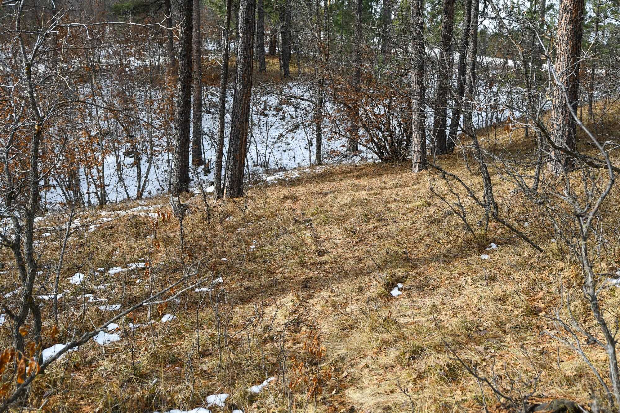 Tbd Aster Road Property Photo 31