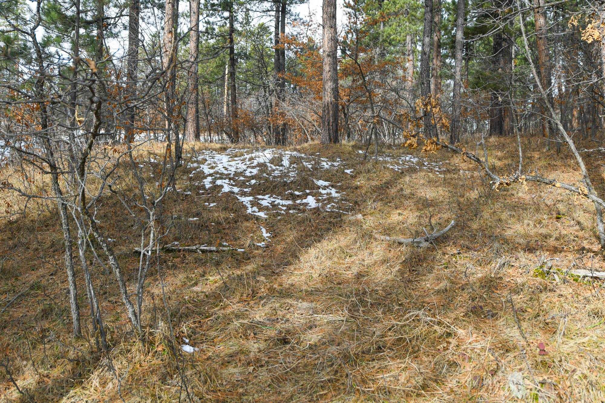 Tbd Aster Road Property Photo 32