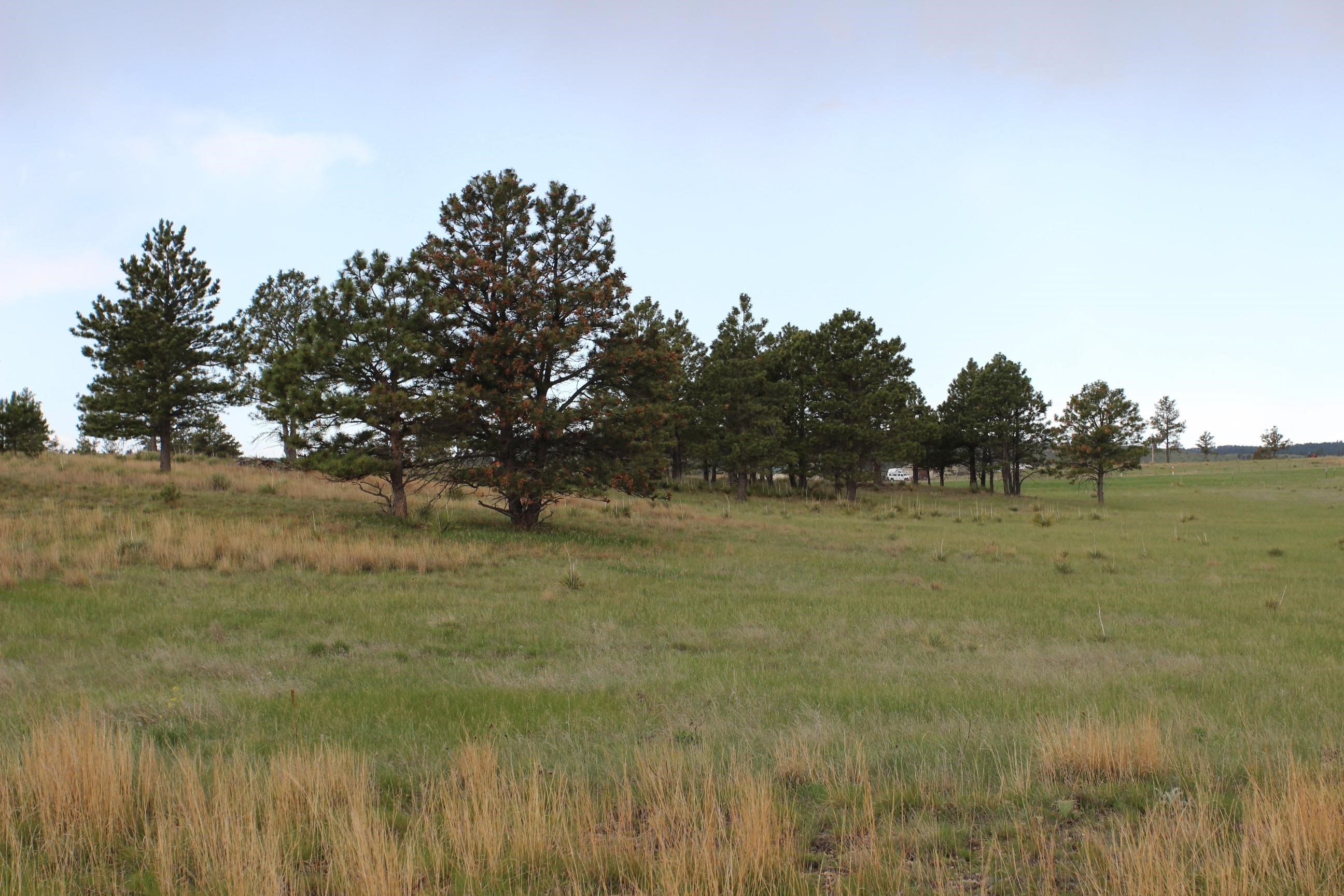 Tract 4 Lariat Circle Property Photo 1