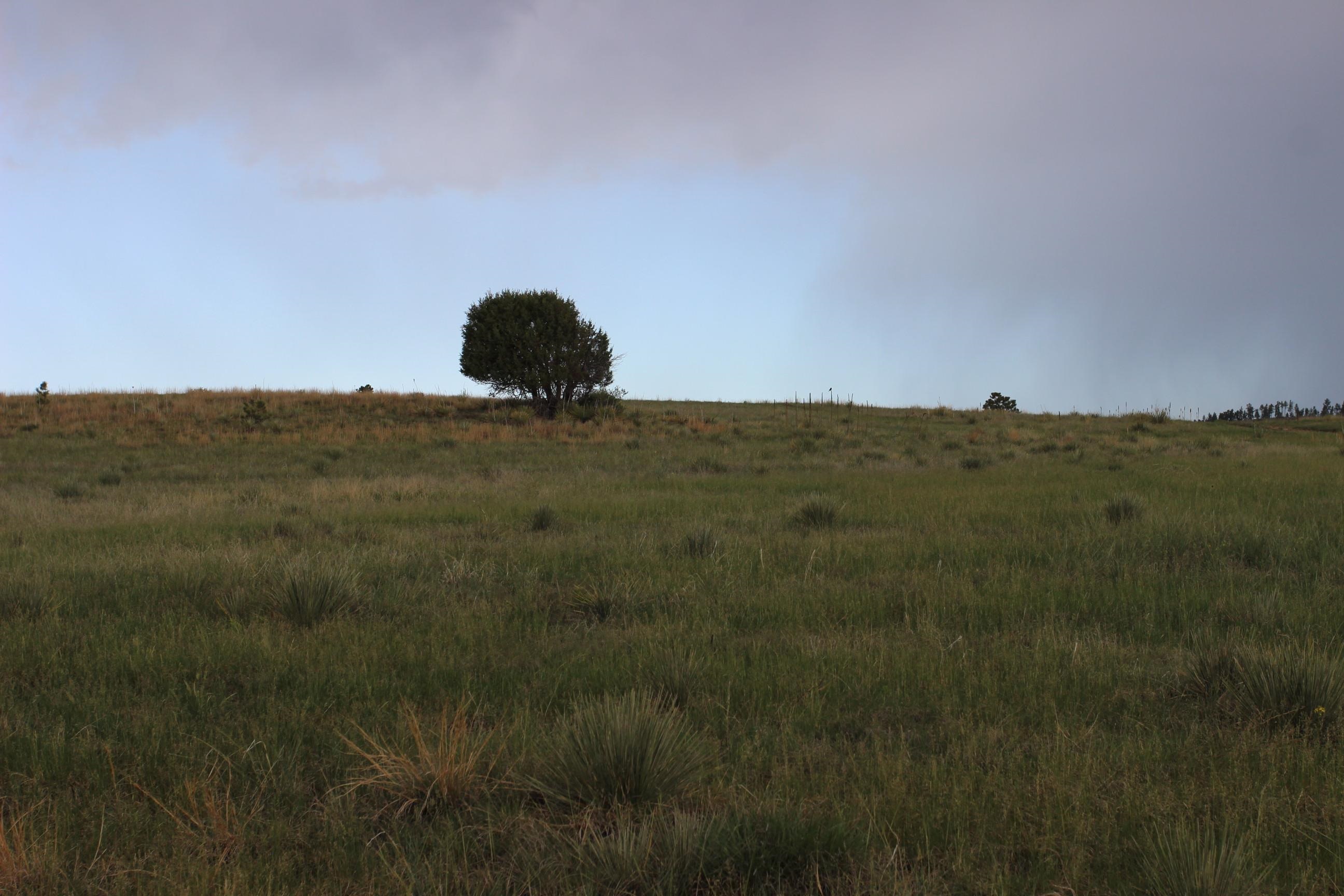 Tract 5 Lariat Circle Property Photo 4