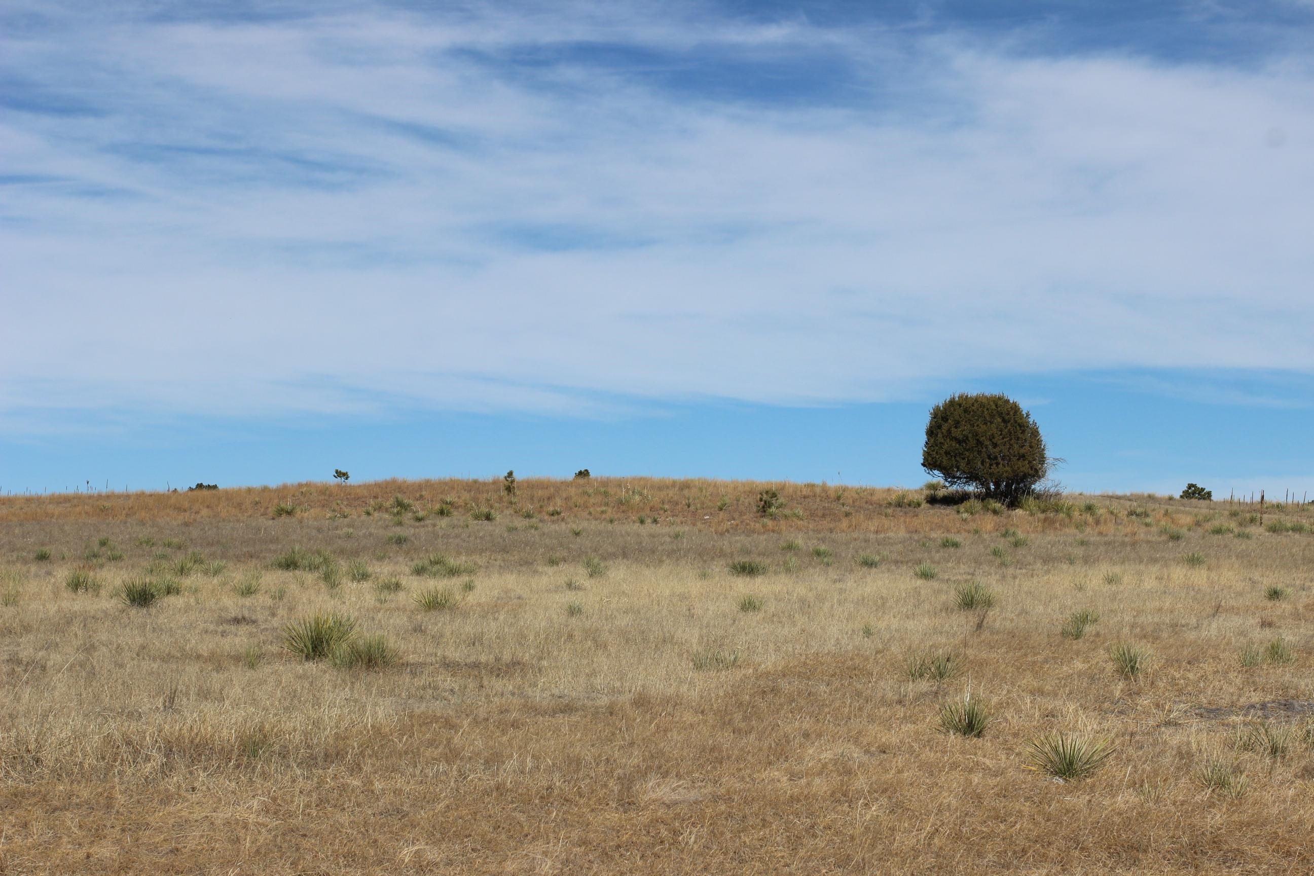 Tract 5 Lariat Circle Property Photo 8