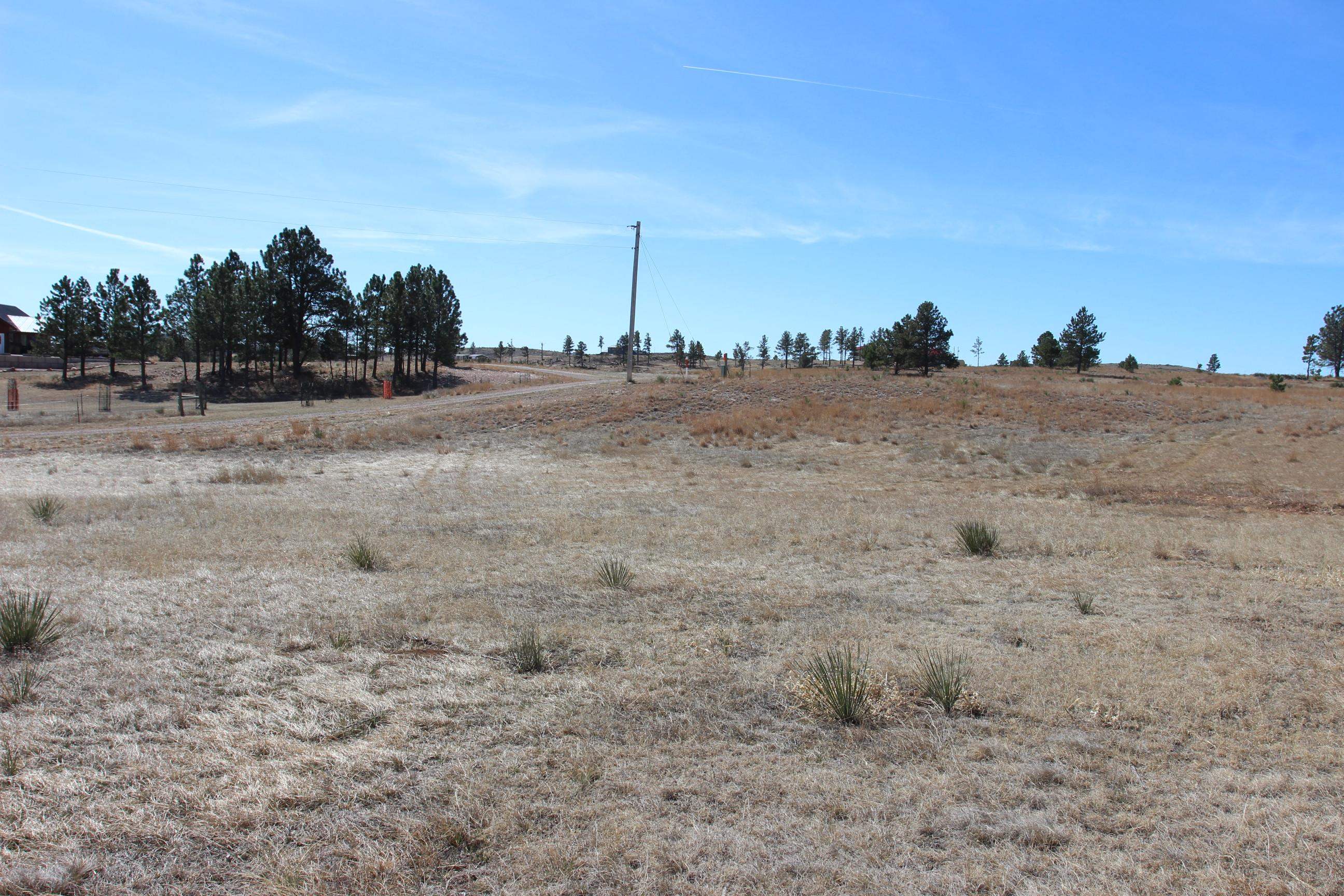 Tract 5 Lariat Circle Property Photo 9