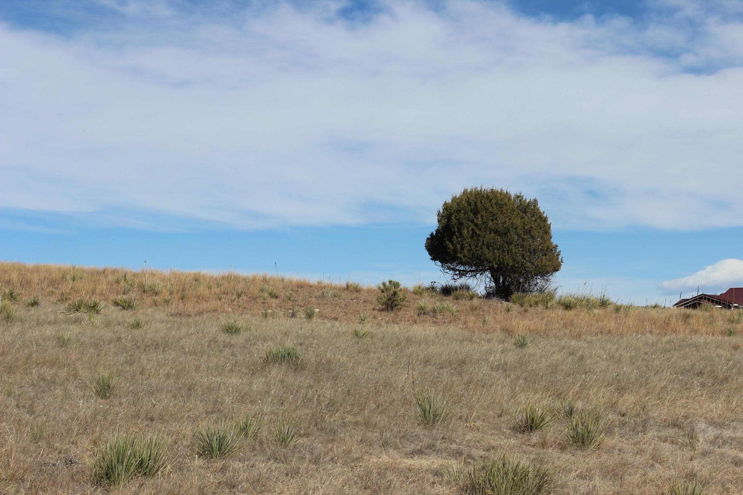 Tract 5 Lariat Circle Property Photo 10