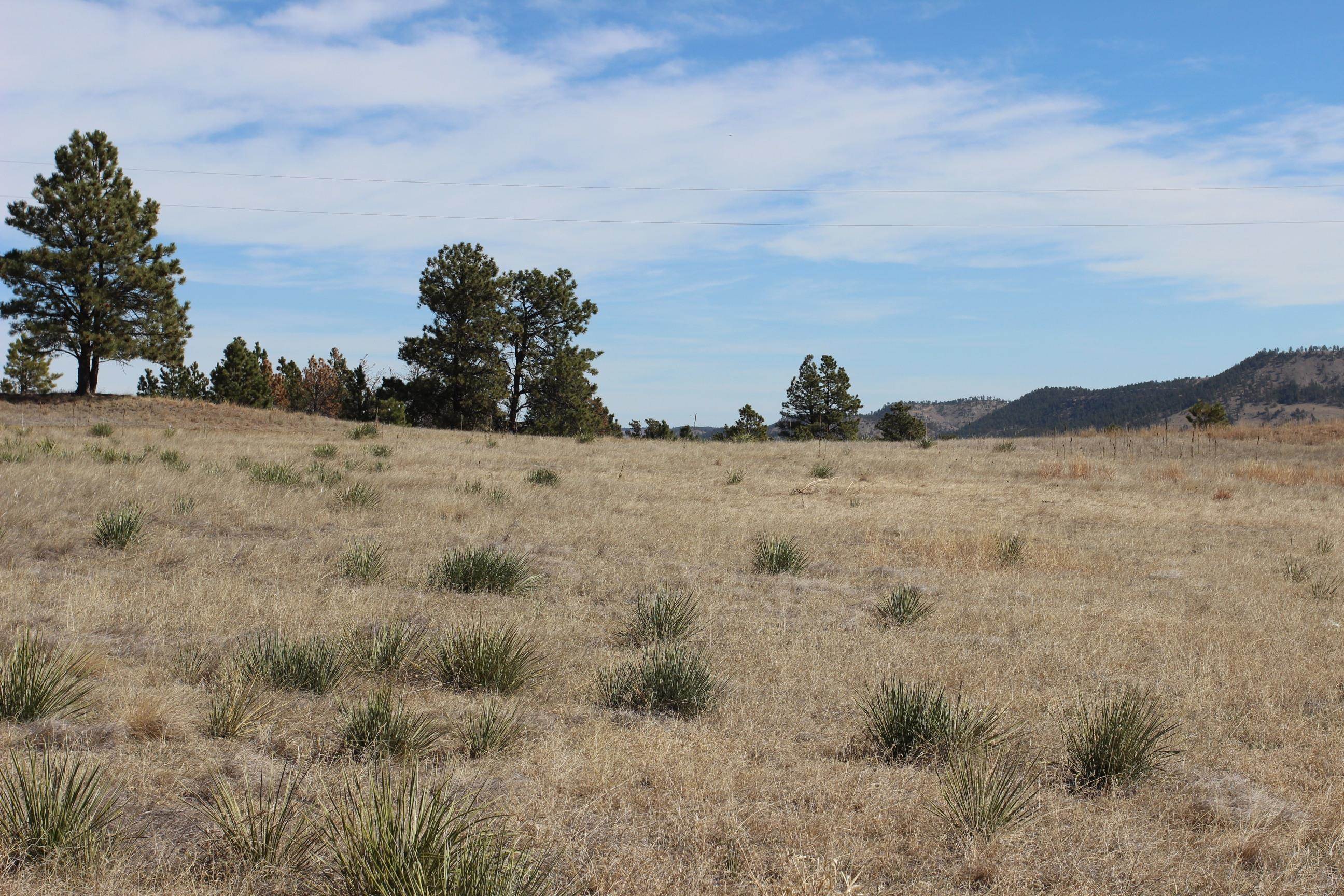 Tract 5 Lariat Circle Property Photo 13