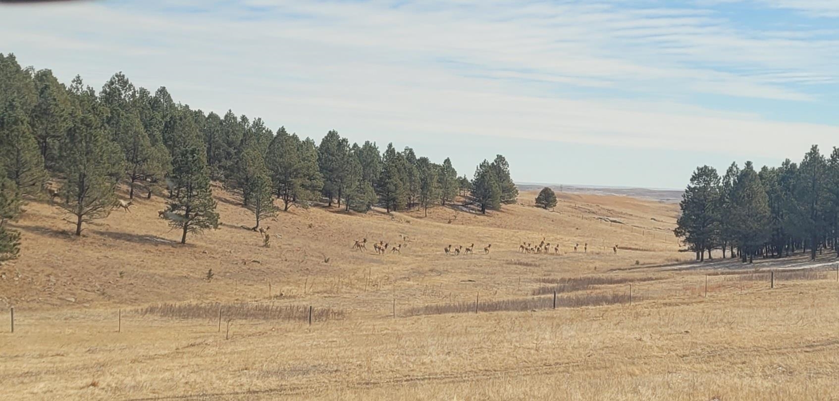 Tbd Missile Rd Property Photo 18