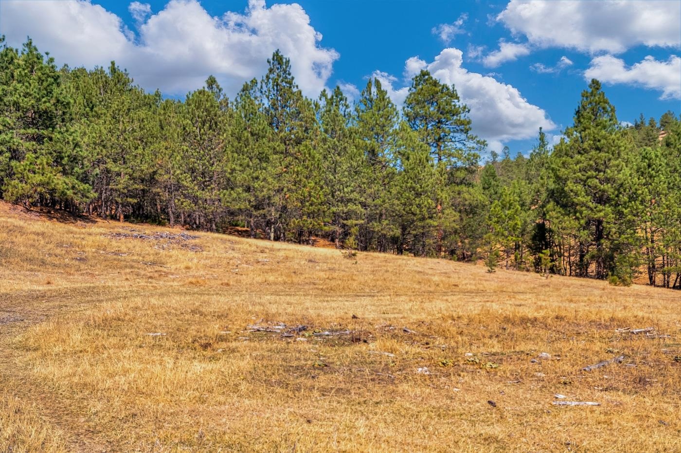 Tbd Missile Rd Property Photo 20