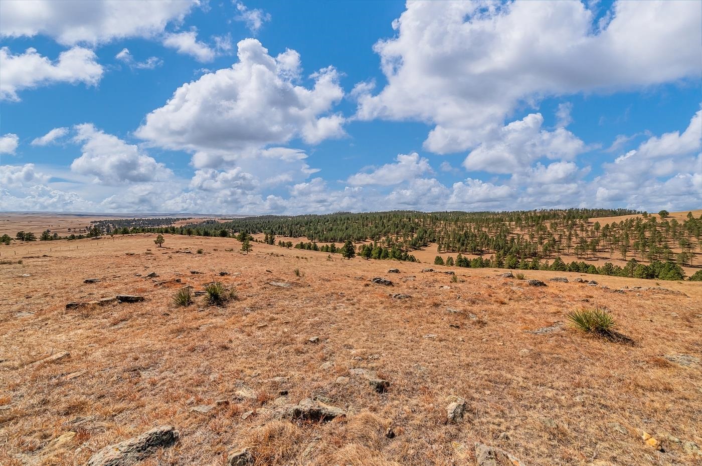 Tbd Missile Rd Property Photo 21