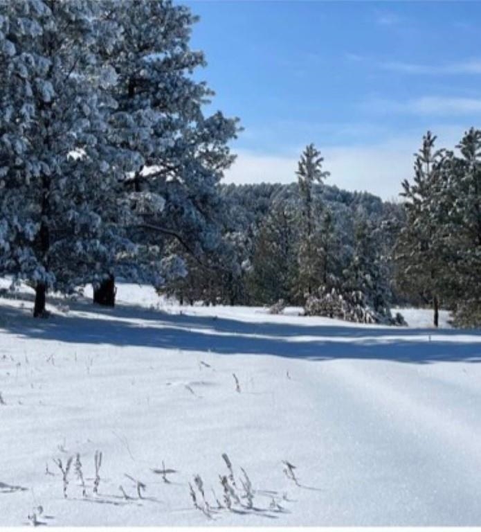 Tbd Missile Rd Property Photo 33