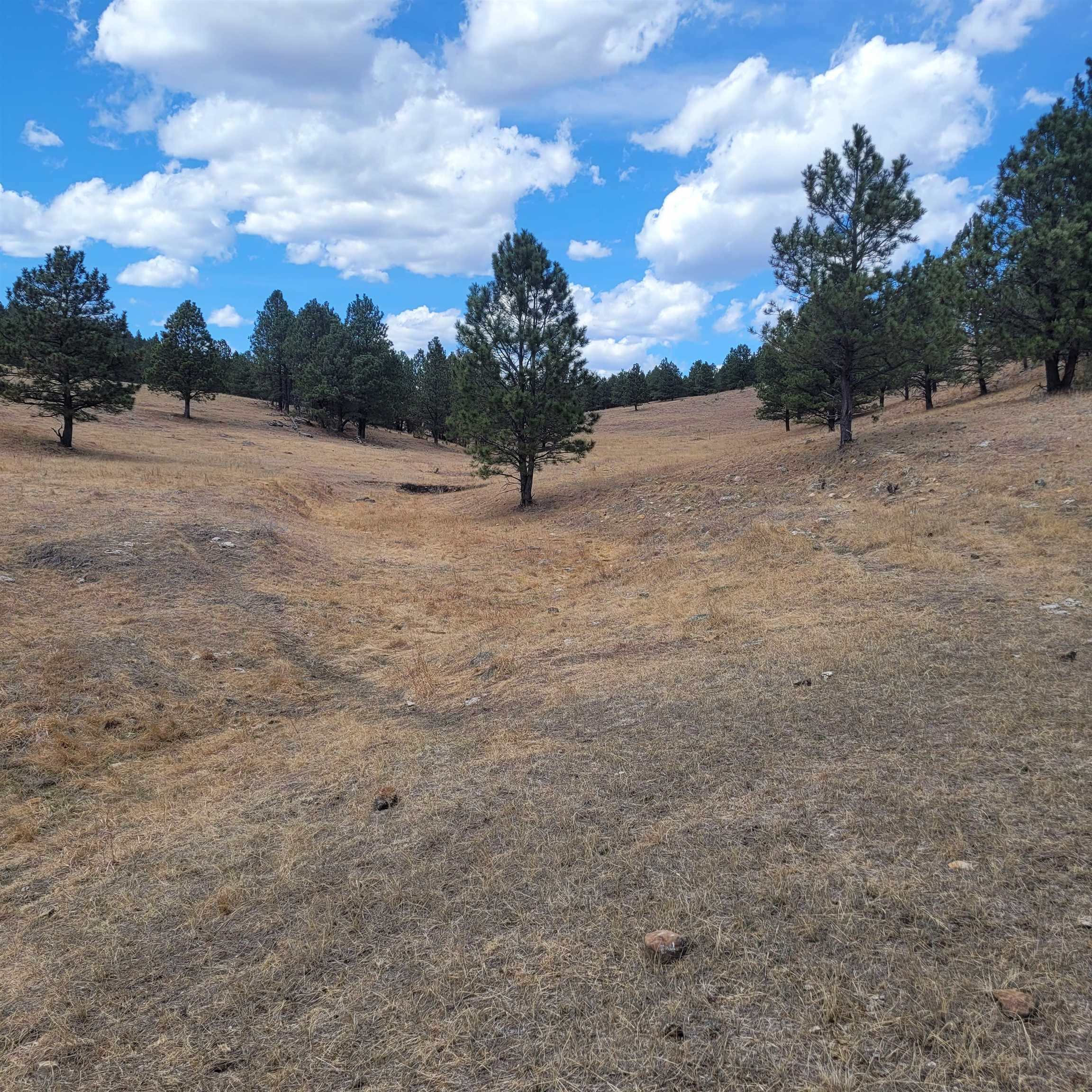Tbd Missile Rd Property Photo 36