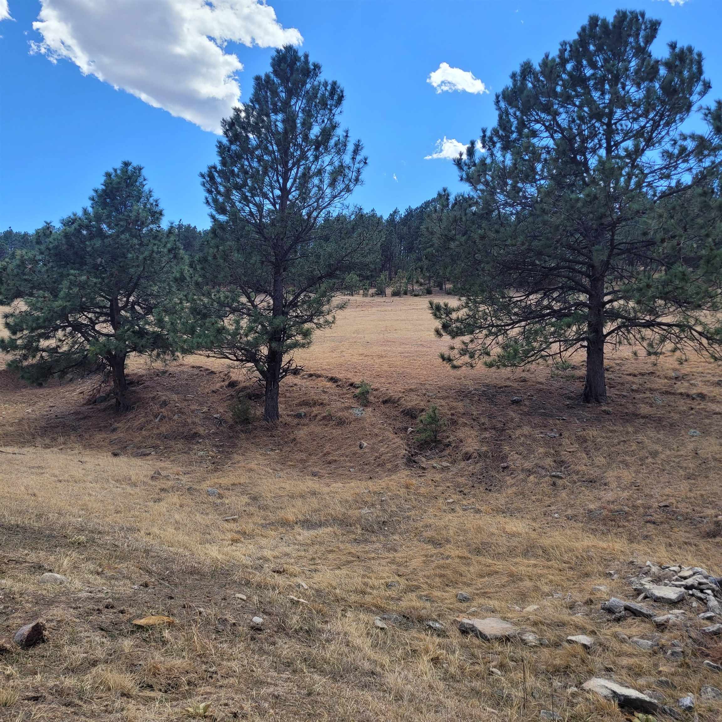 Tbd Missile Rd Property Photo 37