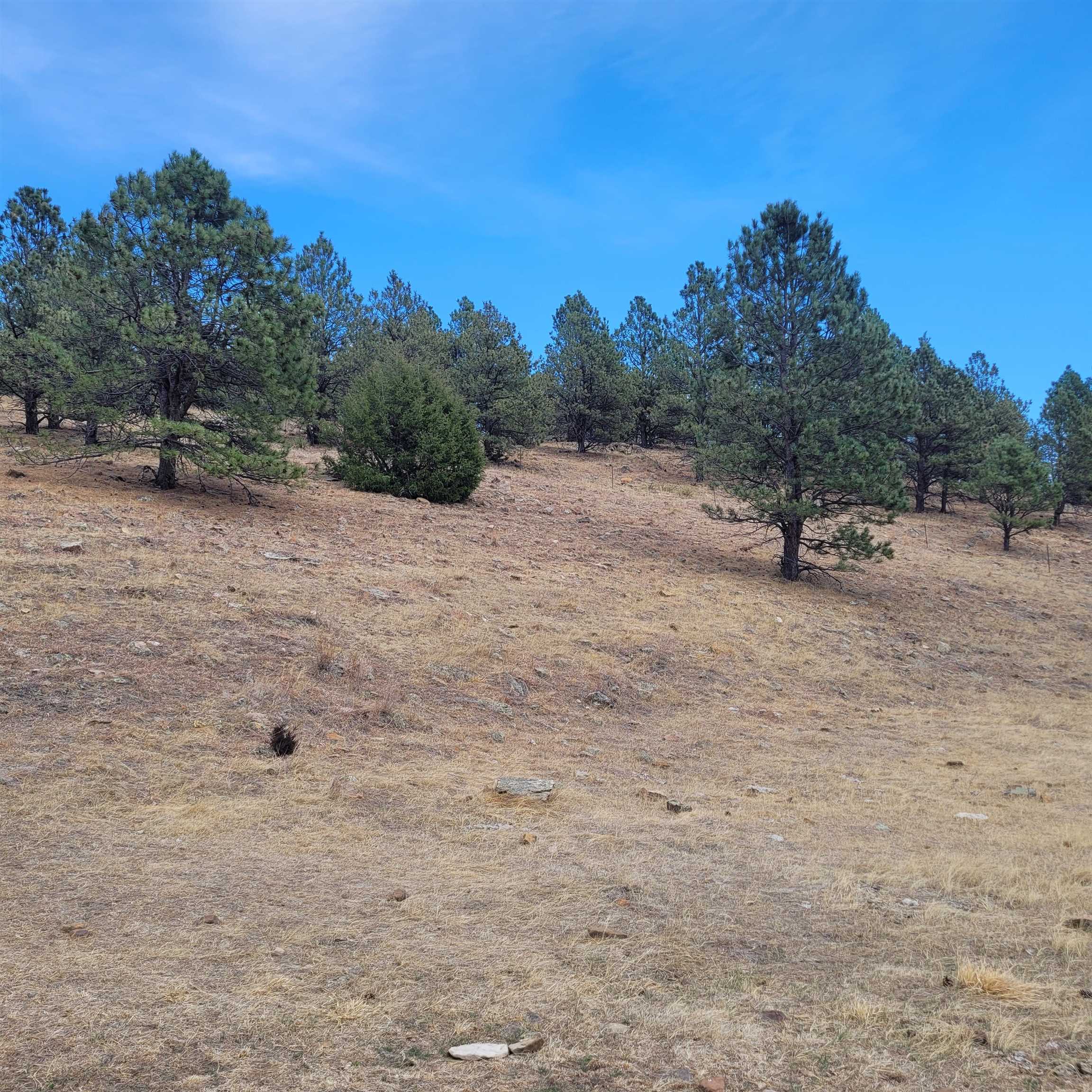 Tbd Missile Rd Property Photo 38