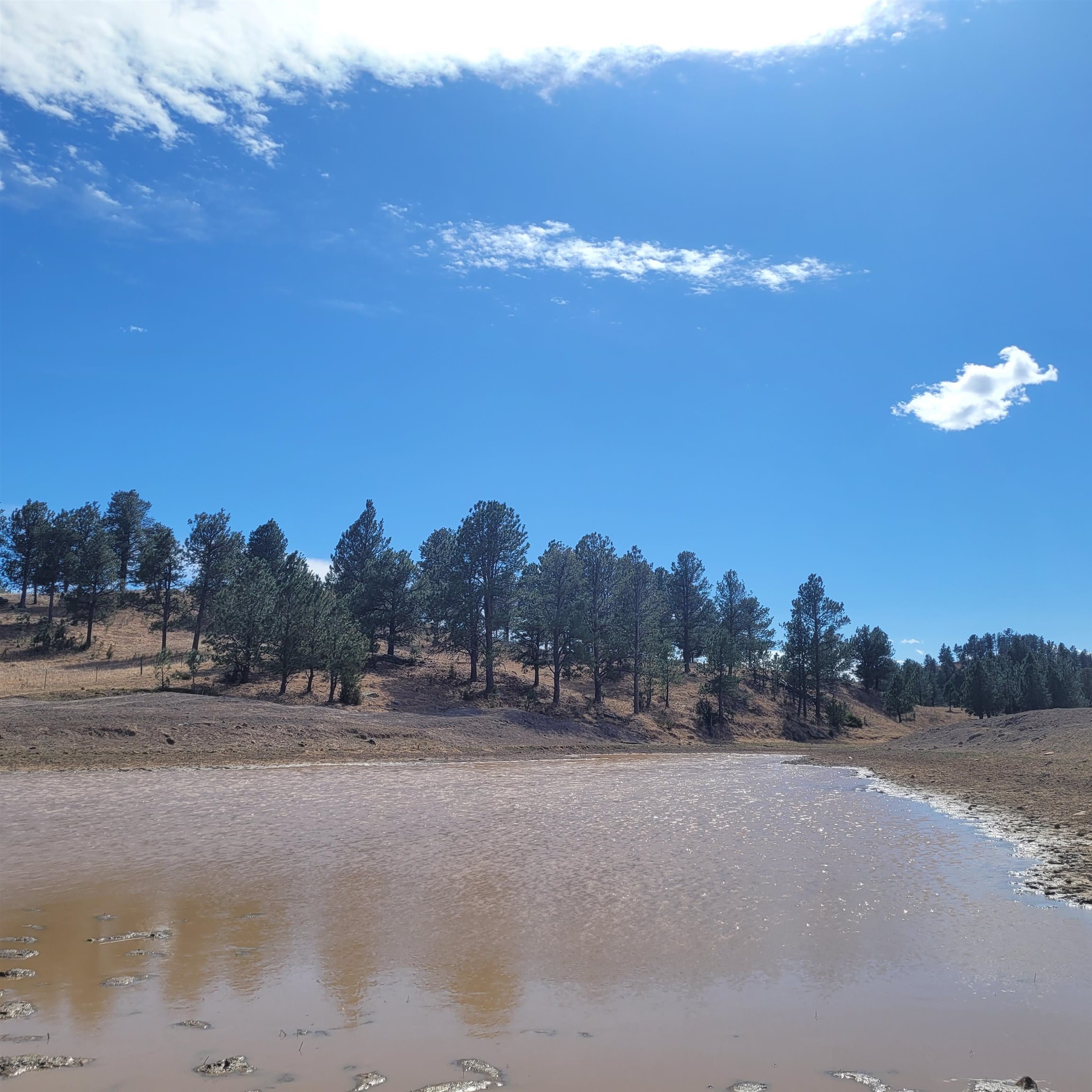 Tbd Missile Rd Property Photo 39