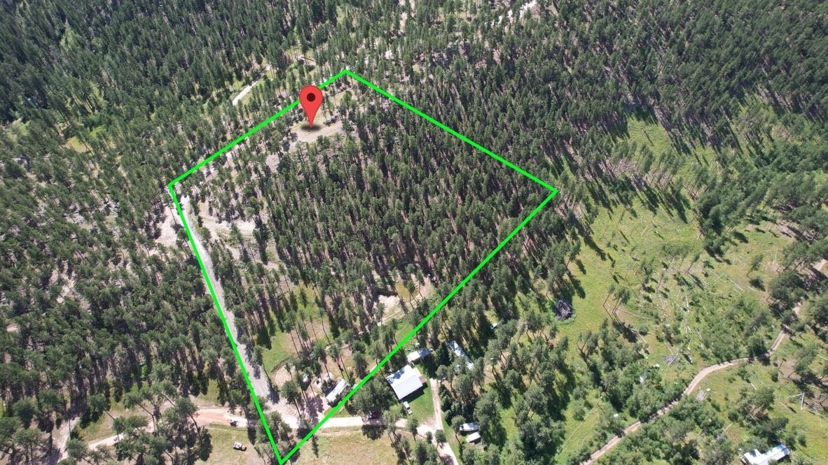 12491 S Tall Pine Road Property Photo 4