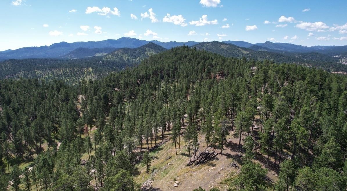 12491 S Tall Pine Road Property Photo 6