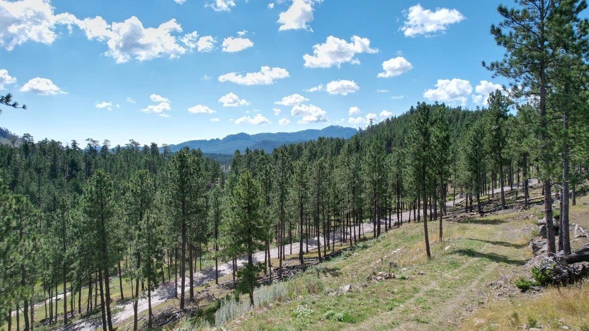 12491 S Tall Pine Road Property Photo 9