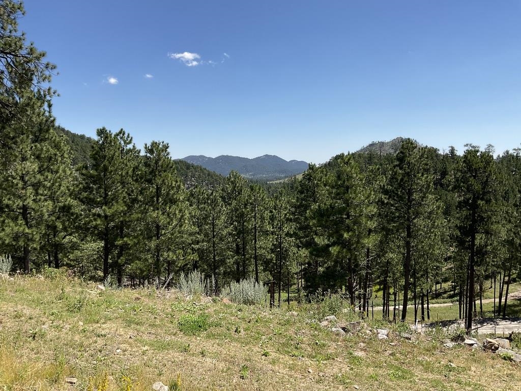 12491 S Tall Pine Road Property Photo 10