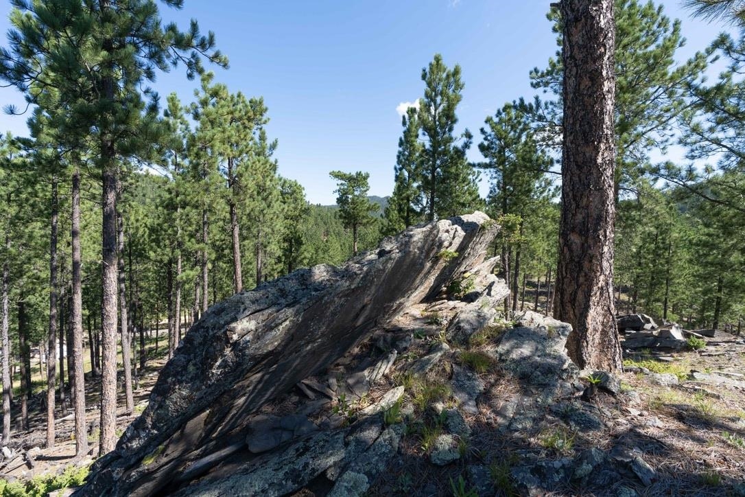 12491 S Tall Pine Road Property Photo 11